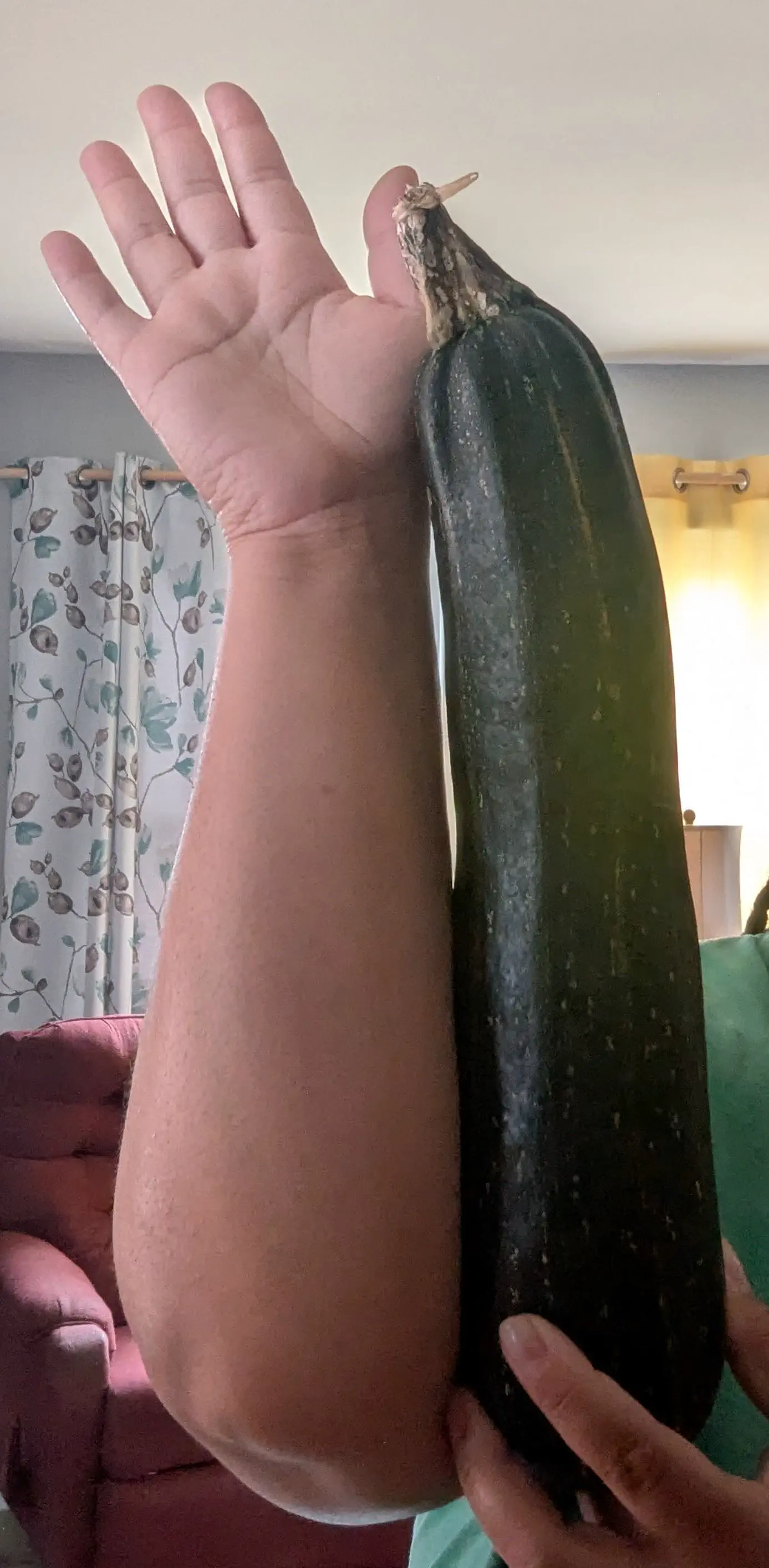 18 Mind-Blowing Absolute Units That Will Astound You! đŠđ€Ż 13 Absolute Units of a zucchini that my dad's friend dropped off for us