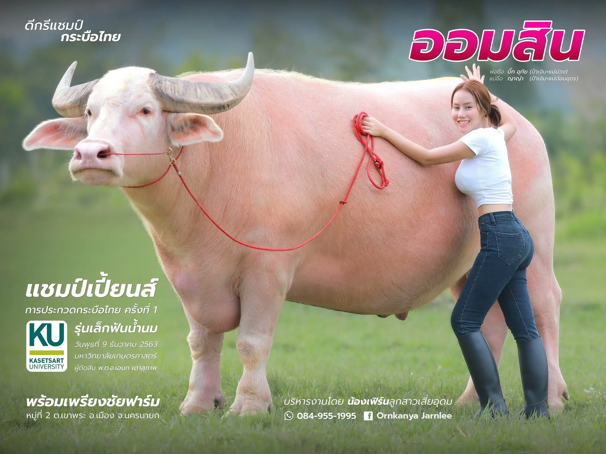 12 Insanely Large Oddities That Will Leave You Amazed! đ€ŻđŸ 21 Absolute Units of an Albino Water Buffalo