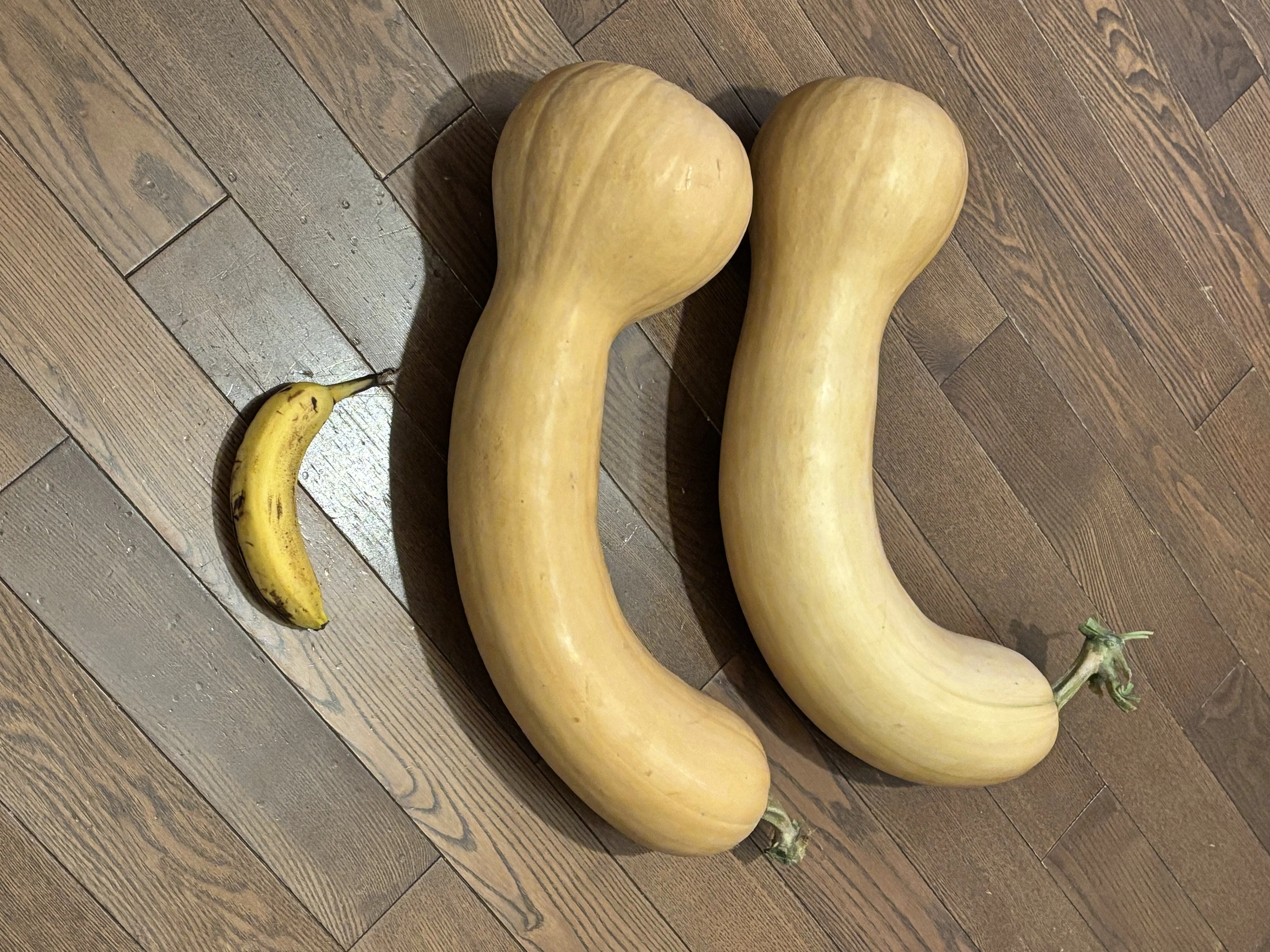 9 Uncommon Oddities That Are Surprisingly Huge! đâš 17 Absolute Units of butternut squash
