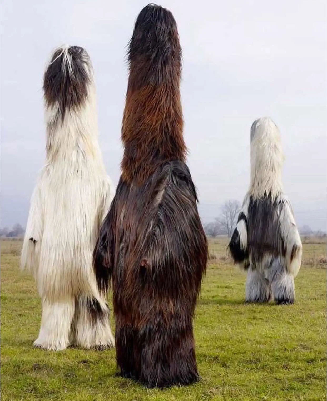 18 Mind-Blowing Absolute Units That Will Astound You! đŠđ€Ż 18 Absolute Units of European folk costume