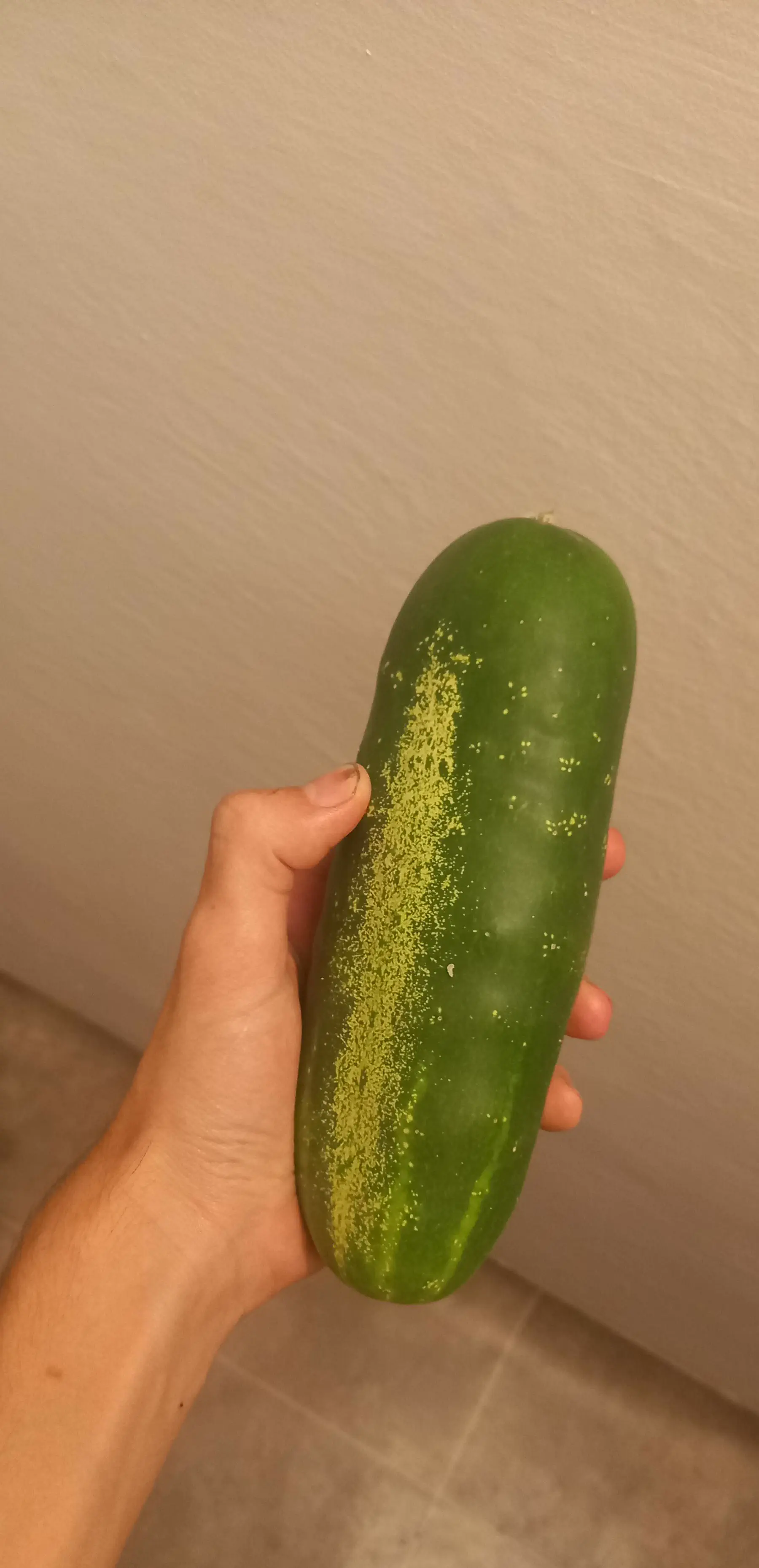 12 Monstrous Animals That Will Challenge Your Idea of Size! 🦙🤯 20 Absolute Units of this cucumber