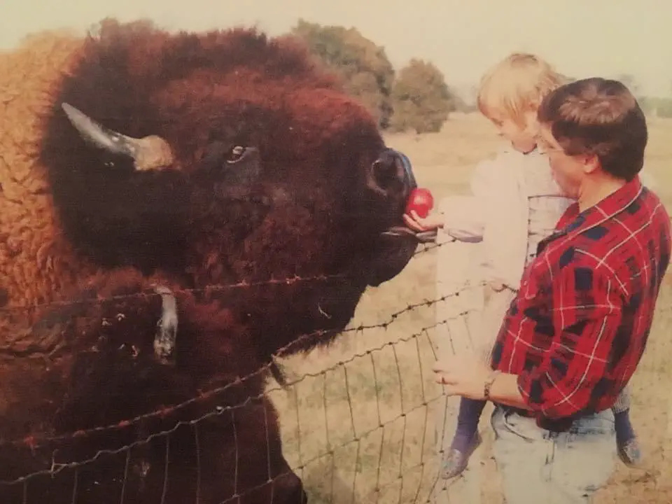 Are You Ready to Discover 12 Unbelievable Units? đ 15 Absolute Units My dad used to take me to feed the Buffalo outside of town when I was little. We called this guy Big Daddy.