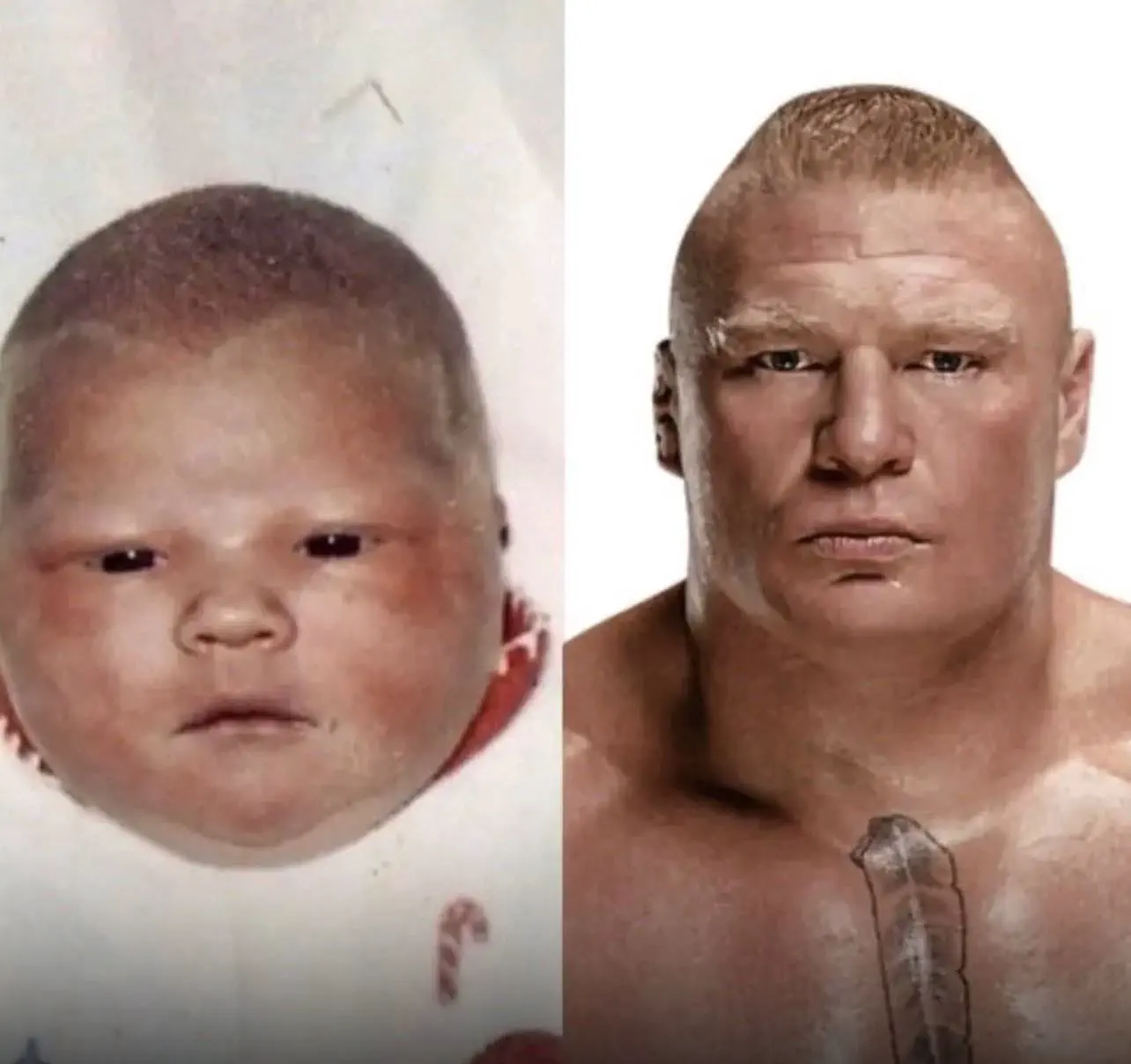 7 Remarkable Absolute Units Challenging Size Perceptions! 🦙✨ 15 Absolute Units of a baby that is brock lesnar