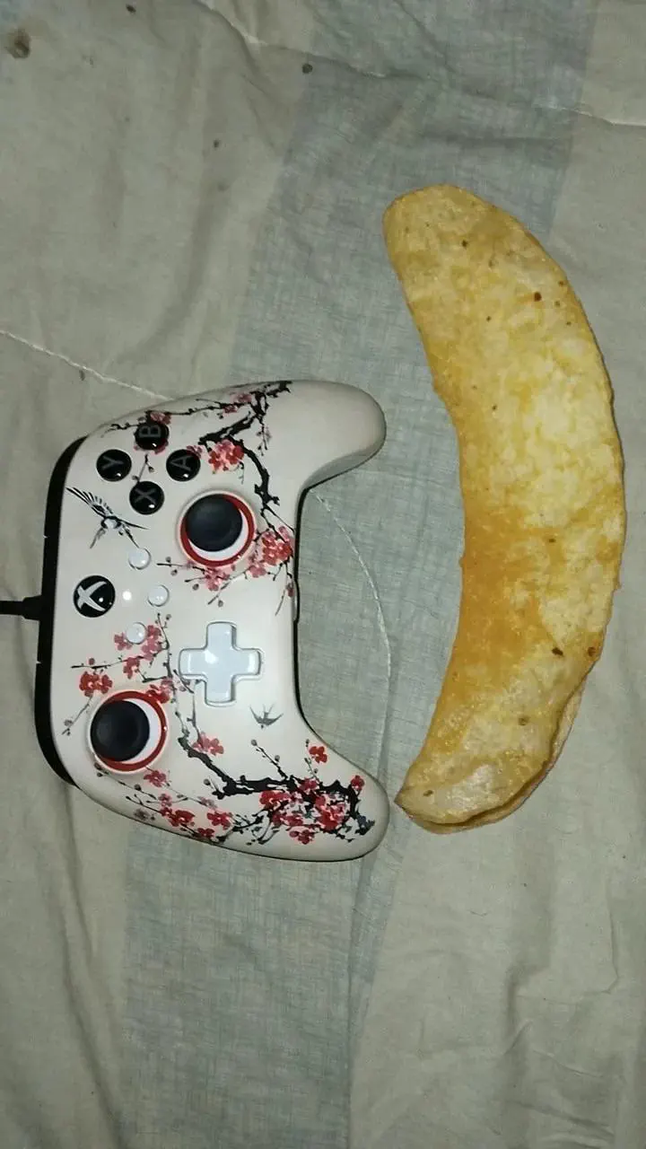 10 Outrageously Huge Oddities You Never Knew Existed! đđŸ 20 Absolute Units of a chip