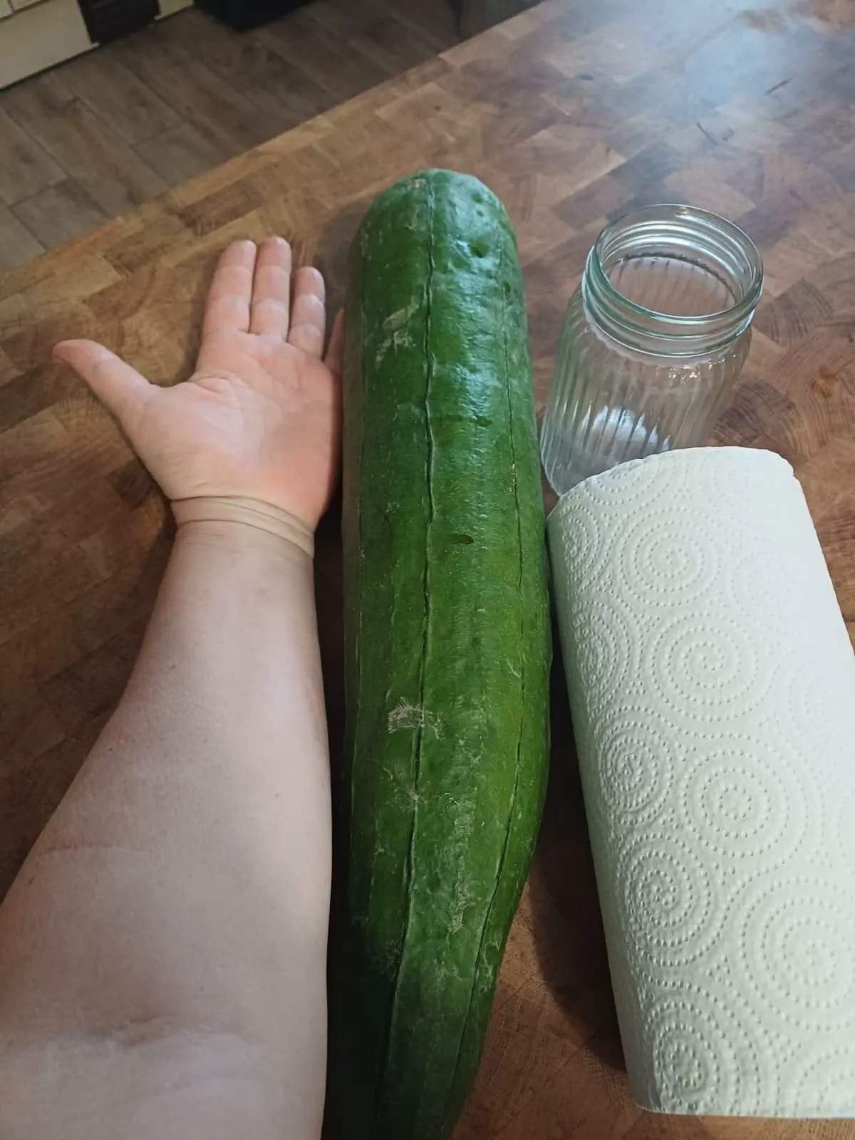Discover 8 Spectacular Giants You Won't Believe Exist! đ 12 Absolute Units of a cucumber that my mother grew in her garden.