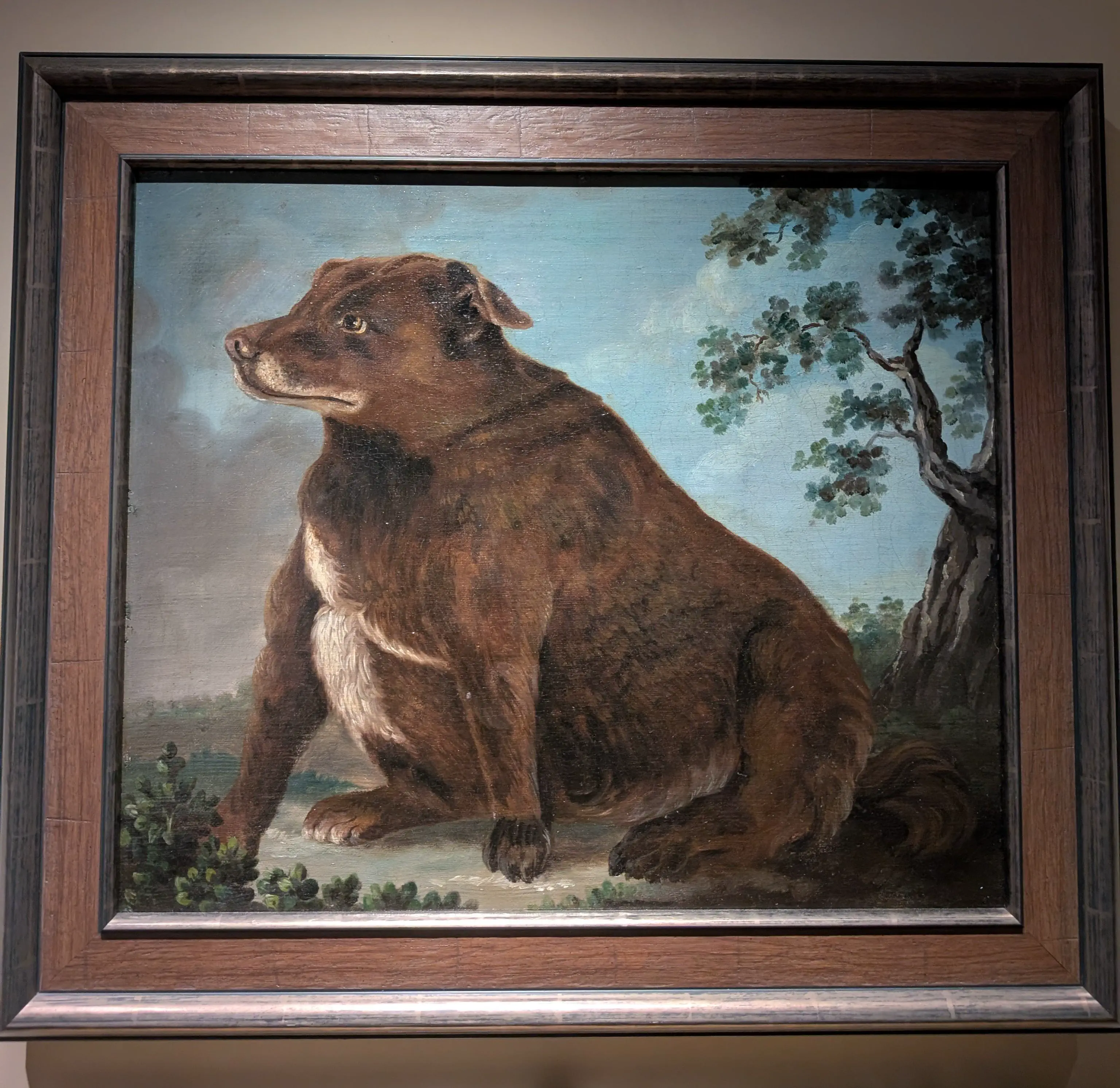 10 Monstrous Oddities That Will Change How You Visualize Size! đ€Żđ 15 Absolute Units of a dog