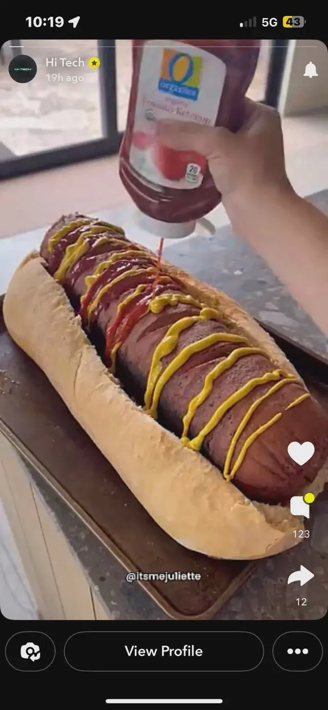 Dive into 7 Iconic Absolute Units That Define 'Massive'! 🦙✨ 12 Absolute Units of a hotdog