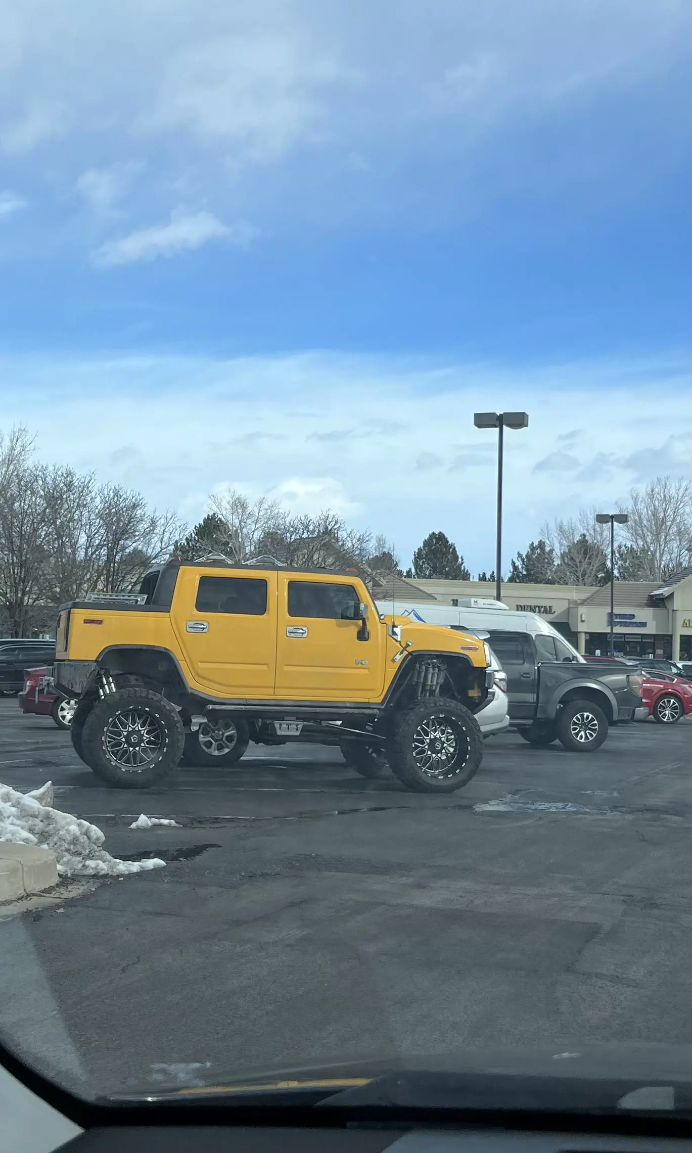 16 Jaw-Dropping Oddities That Defy Size Expectations! đ€Żđ 28 Absolute Units of a hummer