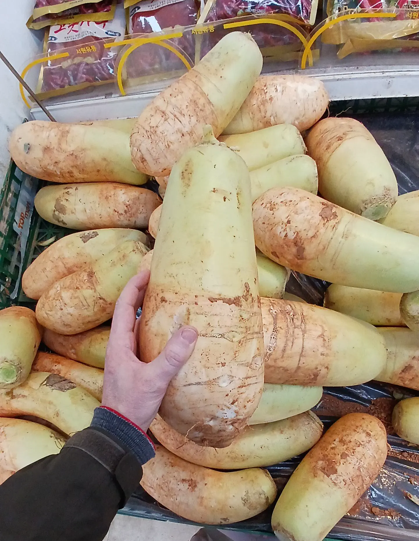 16 Jaw-Dropping Oddities That Defy Size Expectations! đ€Żđ 25 Absolute Units of a Korean radish, 돎, pronounced "moo." This wasn't even the biggest I've ever seen.