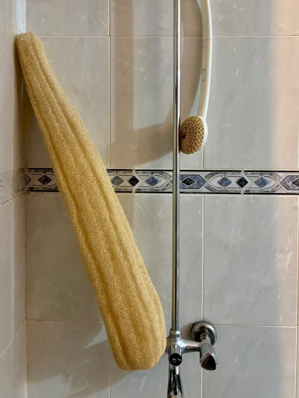 Discover 8 Spectacular Giants You Won't Believe Exist! đ 13 Absolute Units of a loofah (at least for me)