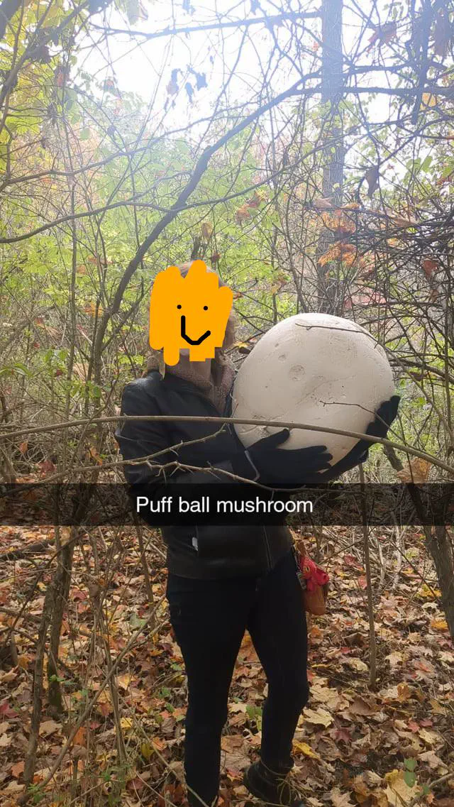 12 Amazing Absolute Units That Redefine Perceptions! đŸ 24 Absolute Units of a mushroom