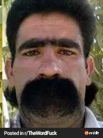 9 Unbelievably Large Oddities That Will Leave You Awestruck! đ 14 Absolute Units of a mustache and unibrow