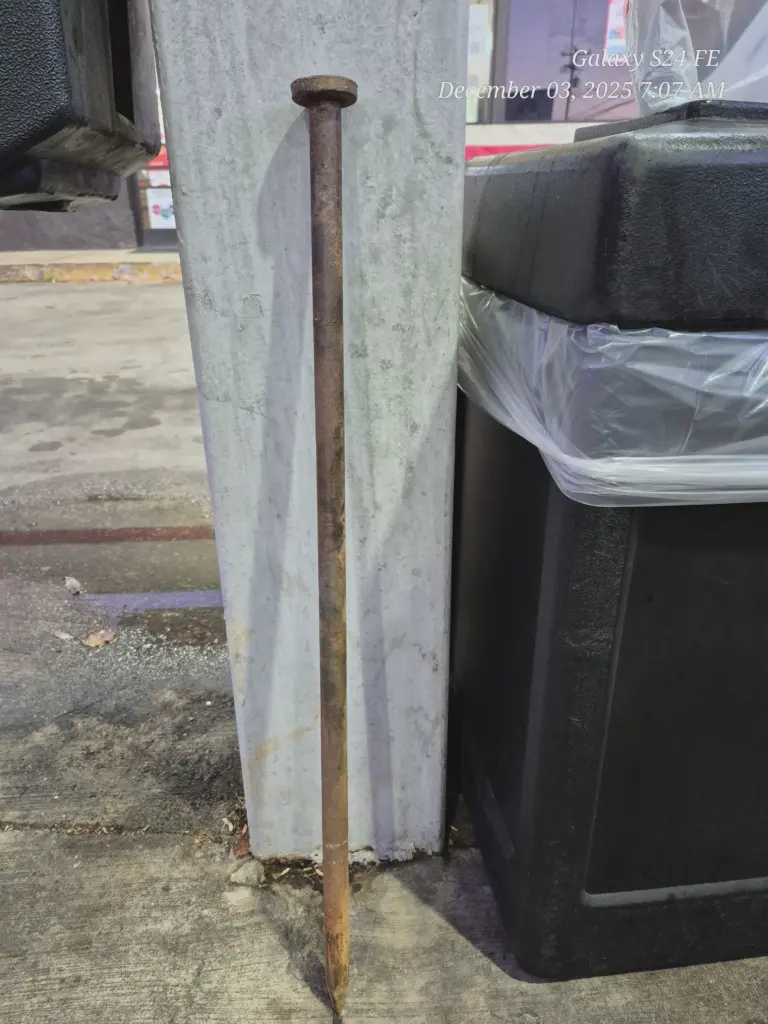 16 Jaw-Dropping Oddities That Defy Size Expectations! đ€Żđ 18 absolute units of a nail