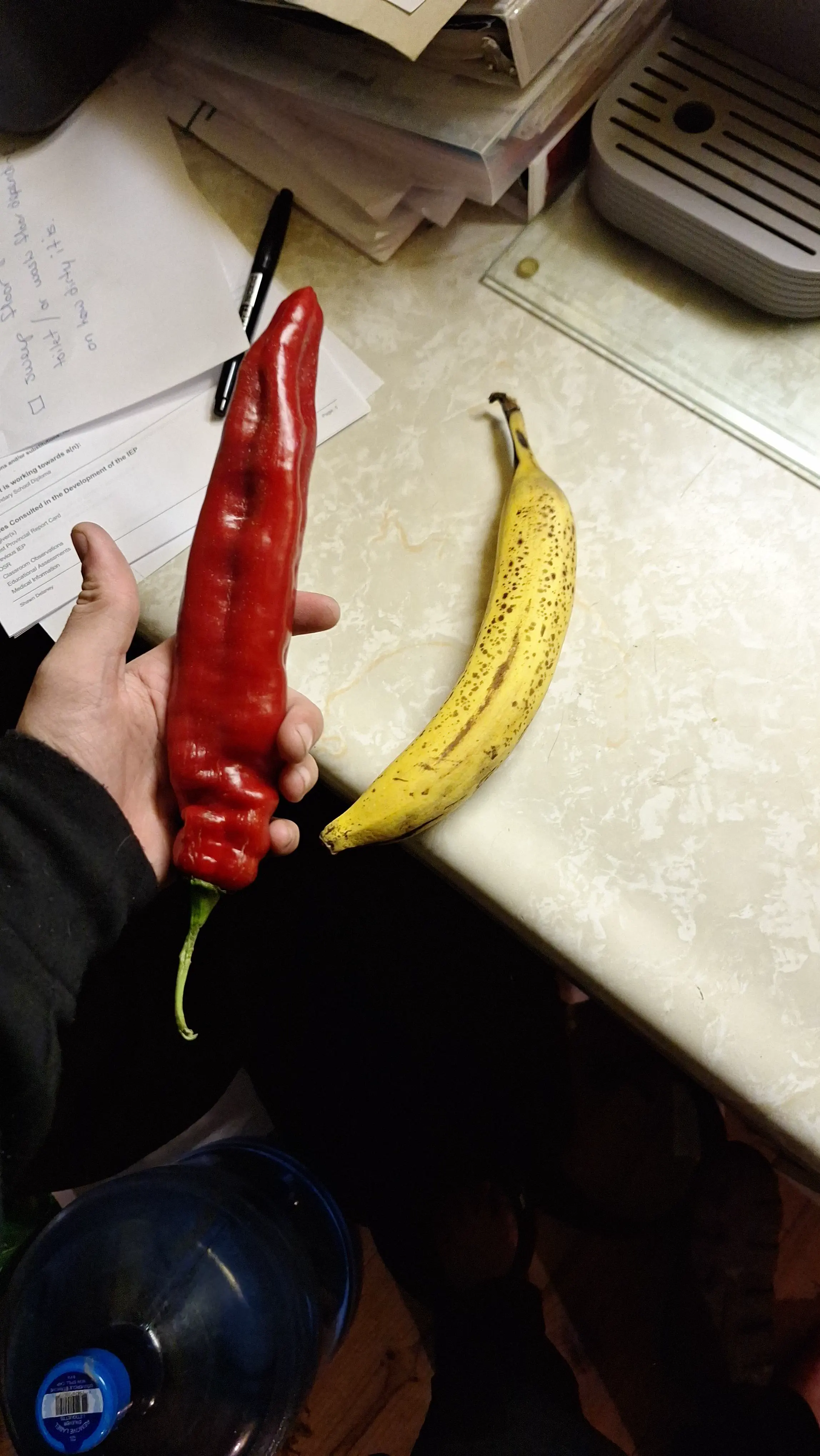 7 Hilariously Massive Oddities That Will Blow Your Mind! đ€Żđ 14 Absolute Units of a pepper
