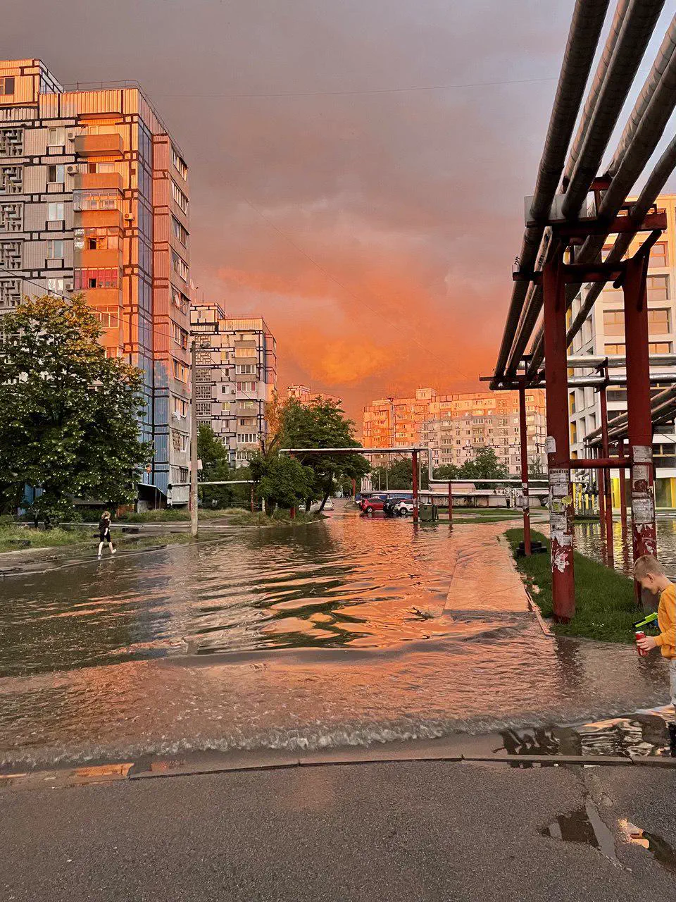 Discover 8 Spectacular Giants You Won't Believe Exist! đ 18 Absolute Units of a puddle