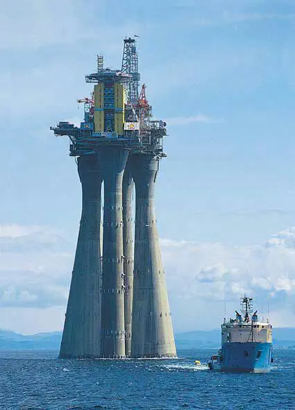 10 Monstrous Oddities That Will Change How You Visualize Size! đ€Żđ 19 Absolute Units of a rig