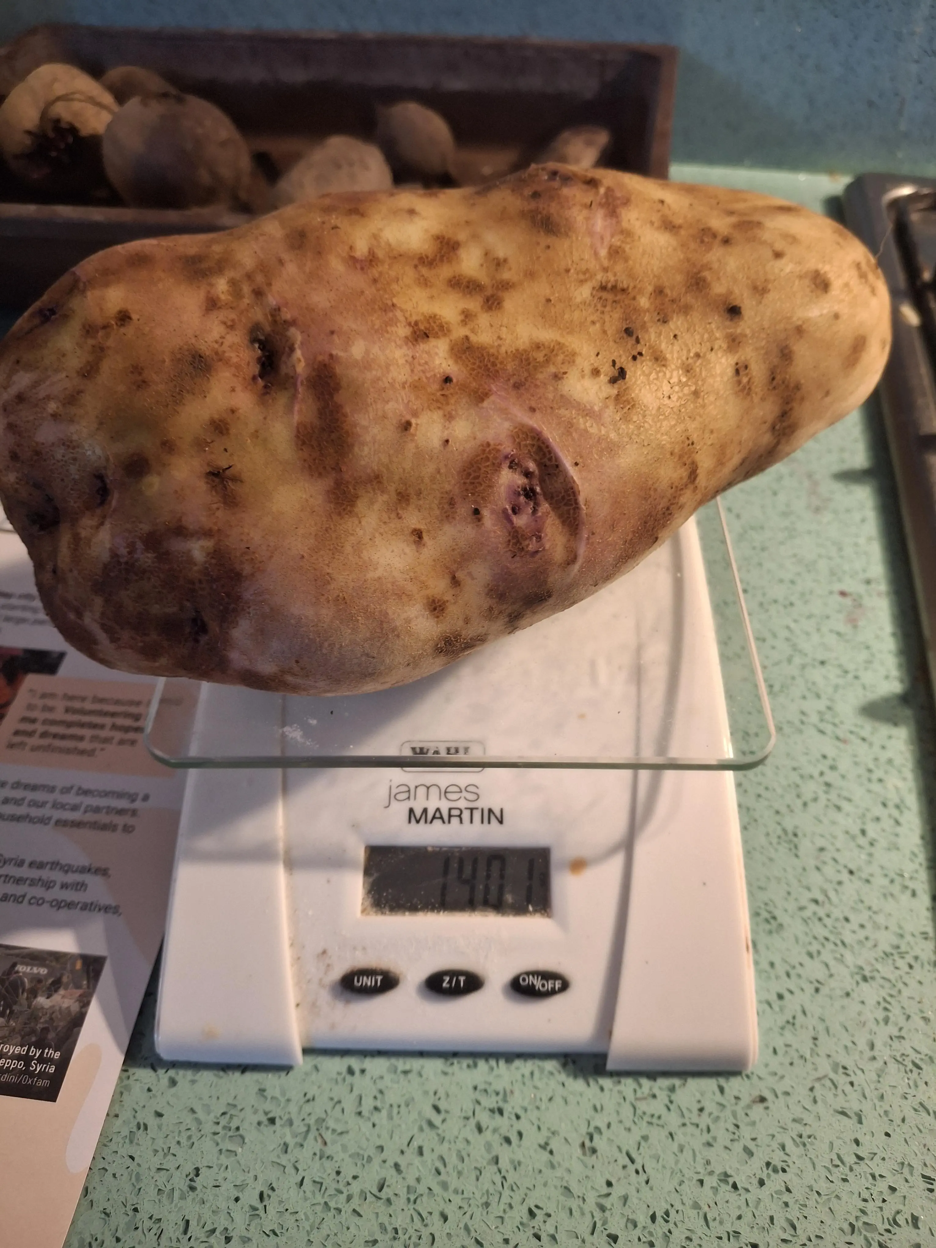 13 Astonishing Absolute Units That Will Blow Your Mind! 🌍🤯 21 Absolute Units of a spud