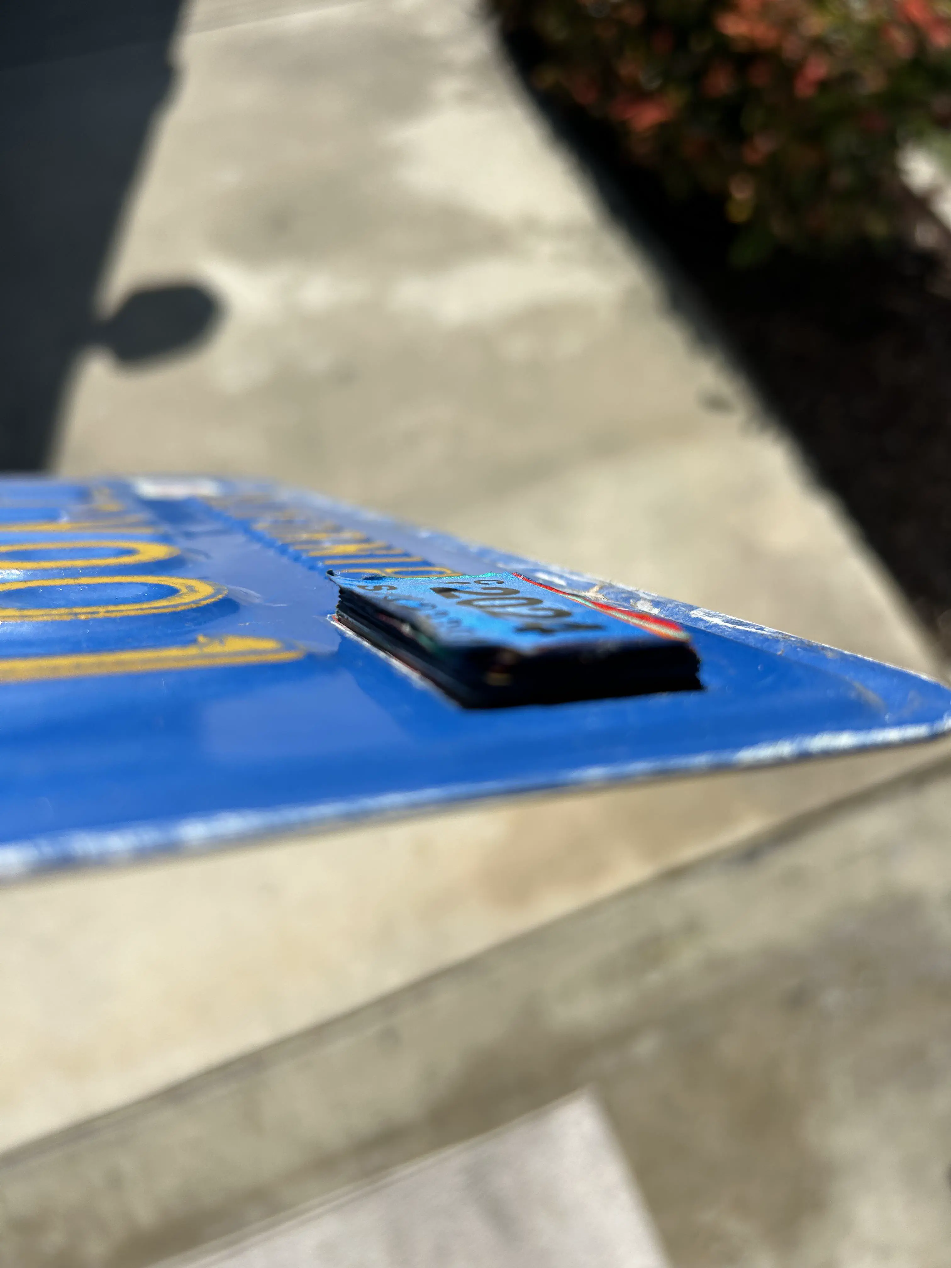 10 Outrageously Huge Oddities You Never Knew Existed! đđŸ 26 Absolute Units of a tag collection