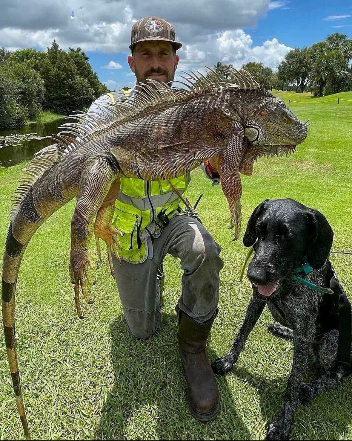 10 Unbelievable Oddities That Redefine 'Massive'! đ„đ 22 Absolute Units of an iguana