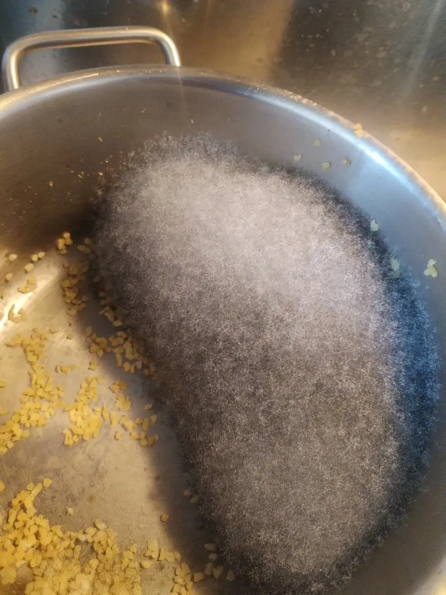 9 Incredible Absolute Units Transforming Size Expectations! đ„ 15 Absolute Units of mold