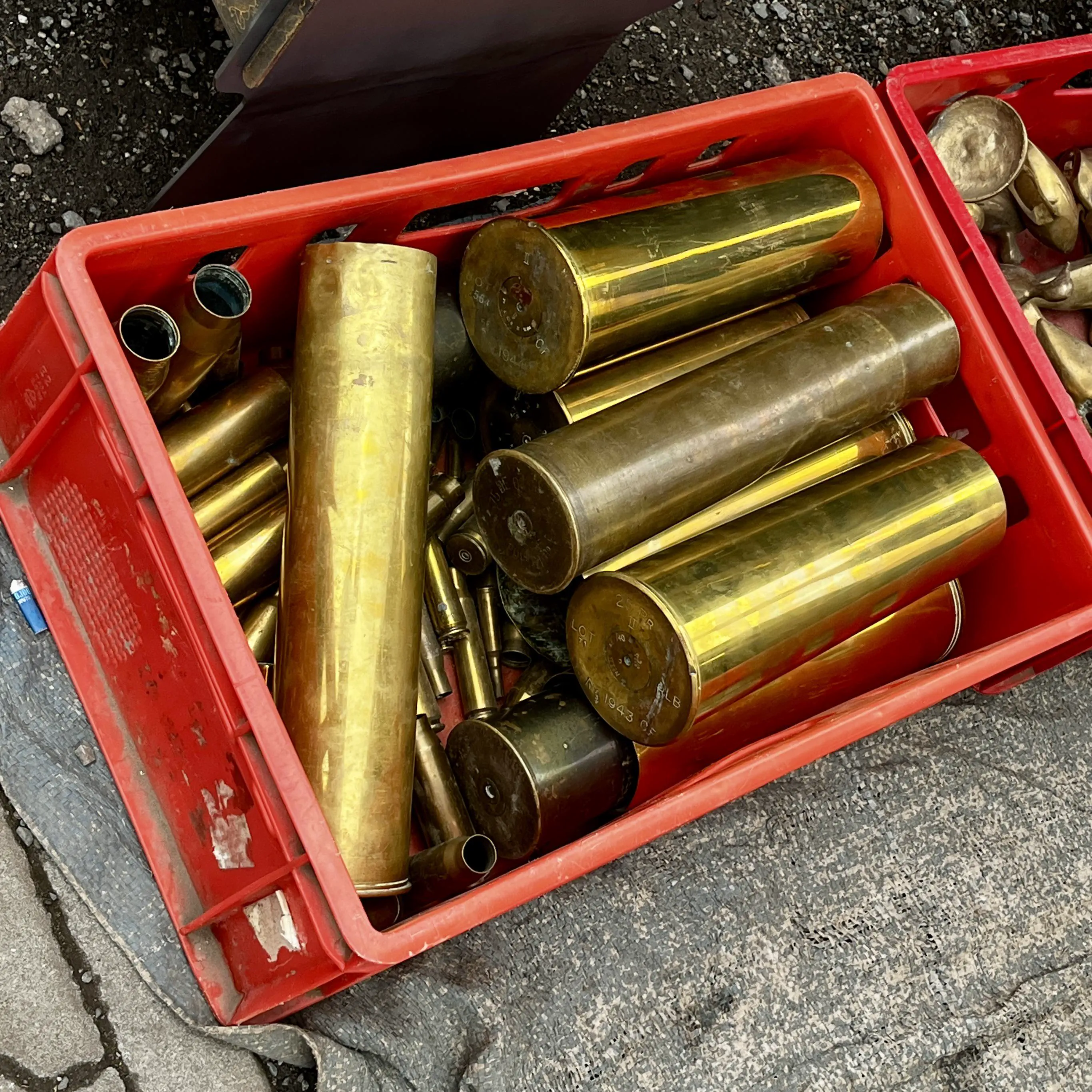 16 Jaw-Dropping Oddities That Defy Size Expectations! đ€Żđ 34 Absolute Units of shells