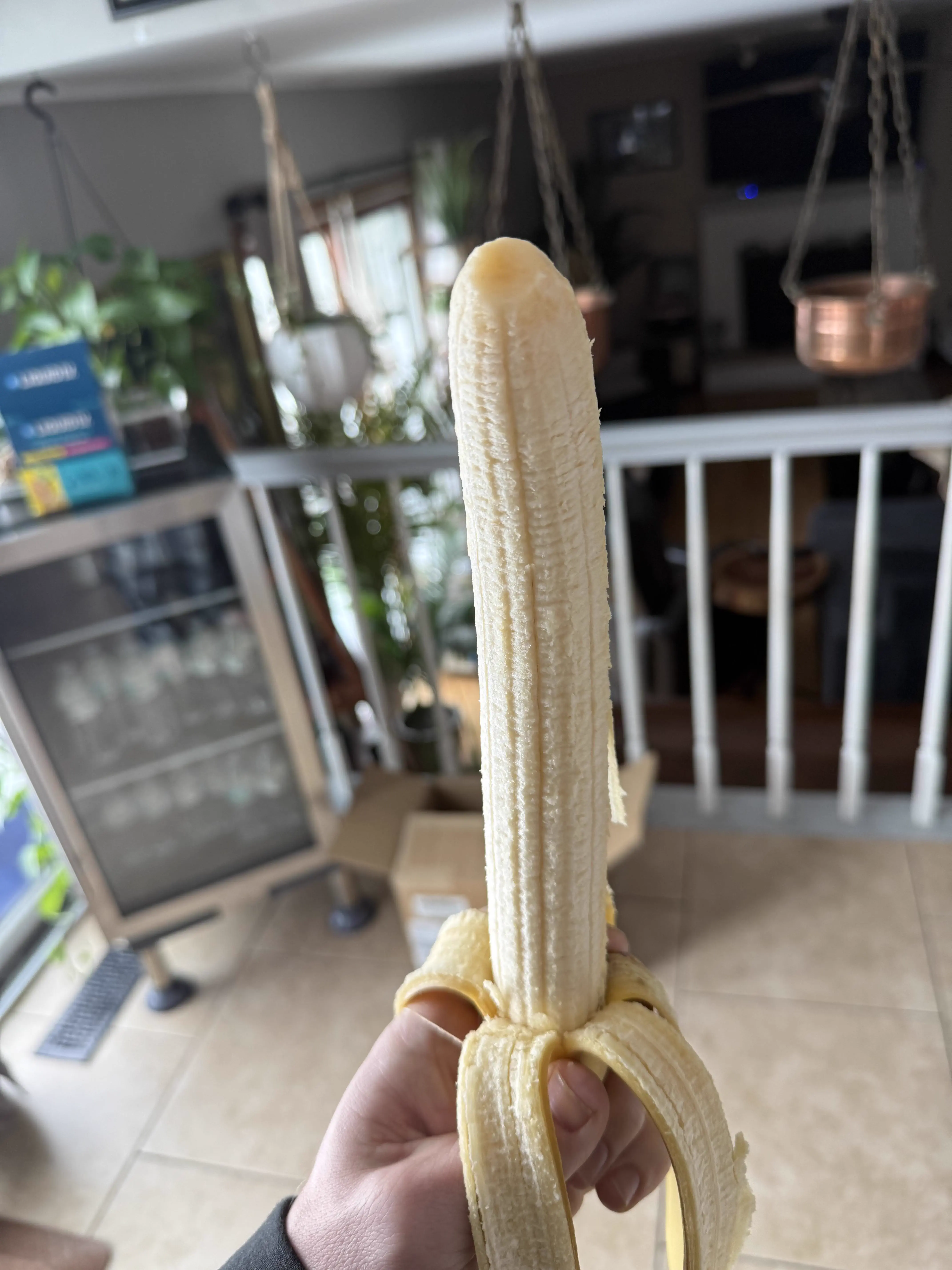 15 Mind-Blowing Oddities That Defy Size Expectations! 🔍🤯 19 Absolute Units of a banana