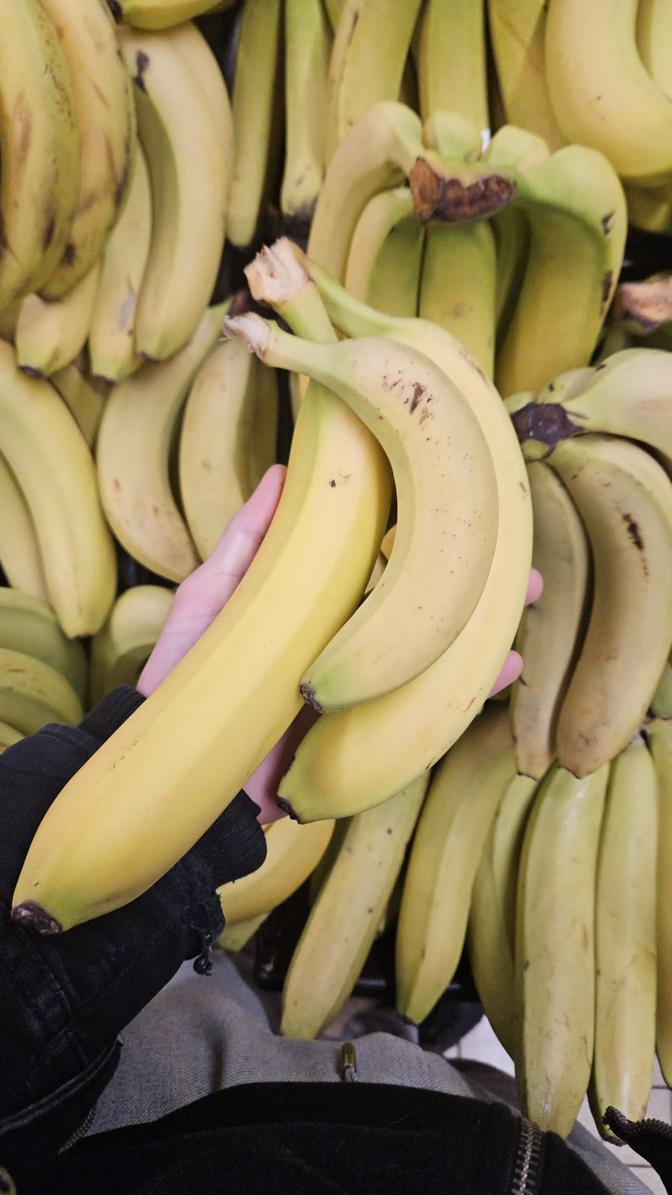 6 Outrageously Large Oddities That Will Test Your Mind! 🤯 14 Absolute Units of a banana (banana for scale)