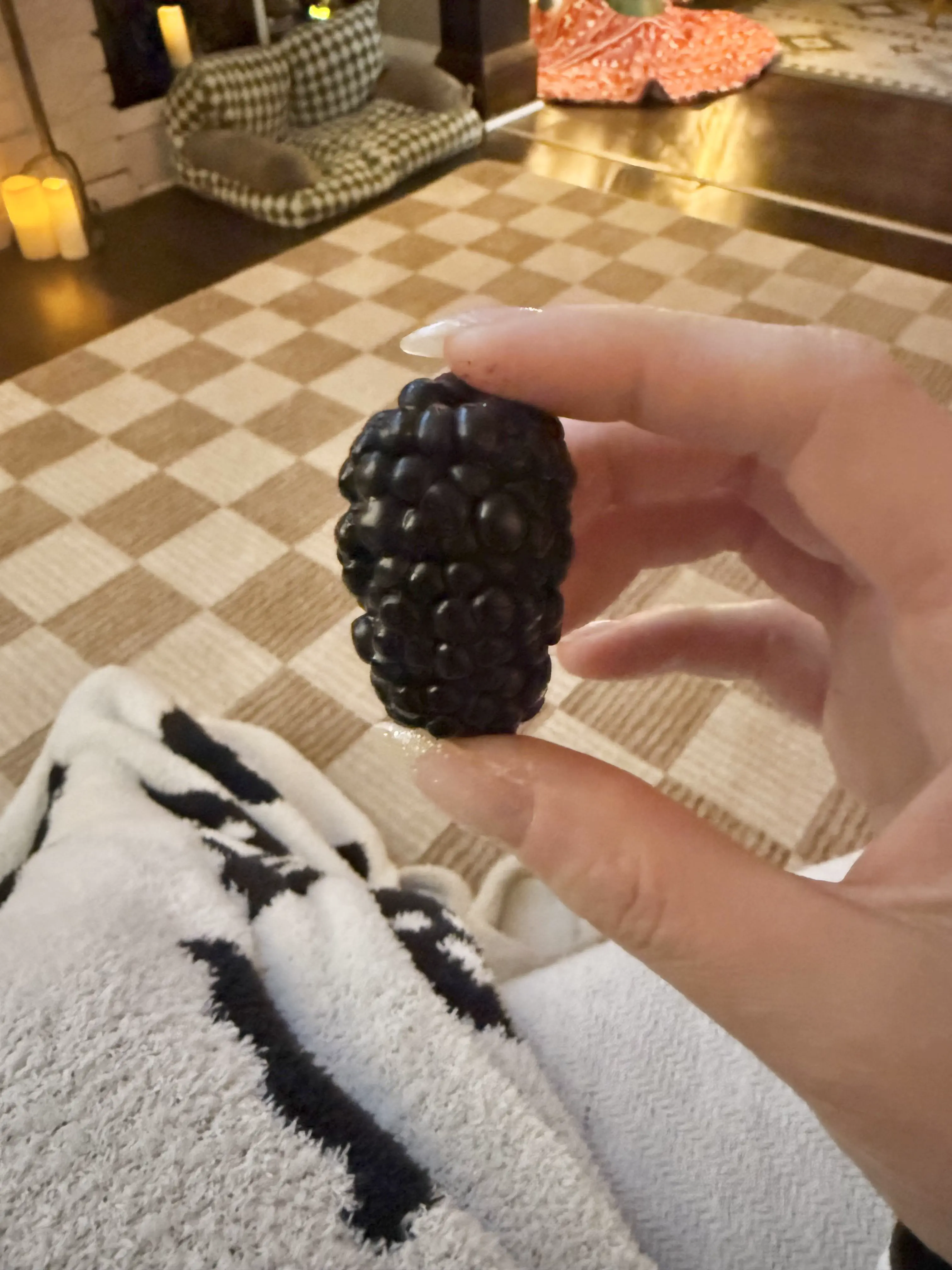 15 Insanely Huge Oddities That Will Leave You Stunned! 🤯 28 Absolute Units of a blackberry