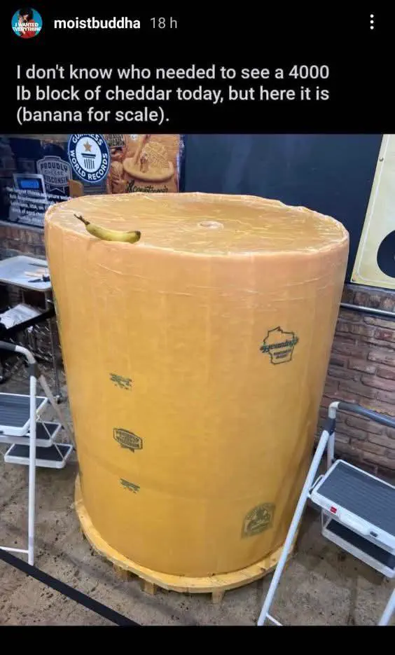 9 Hilarious Absolute Units That Will Leave You Laughing! đ 16 Absolute Units of a block of cheese