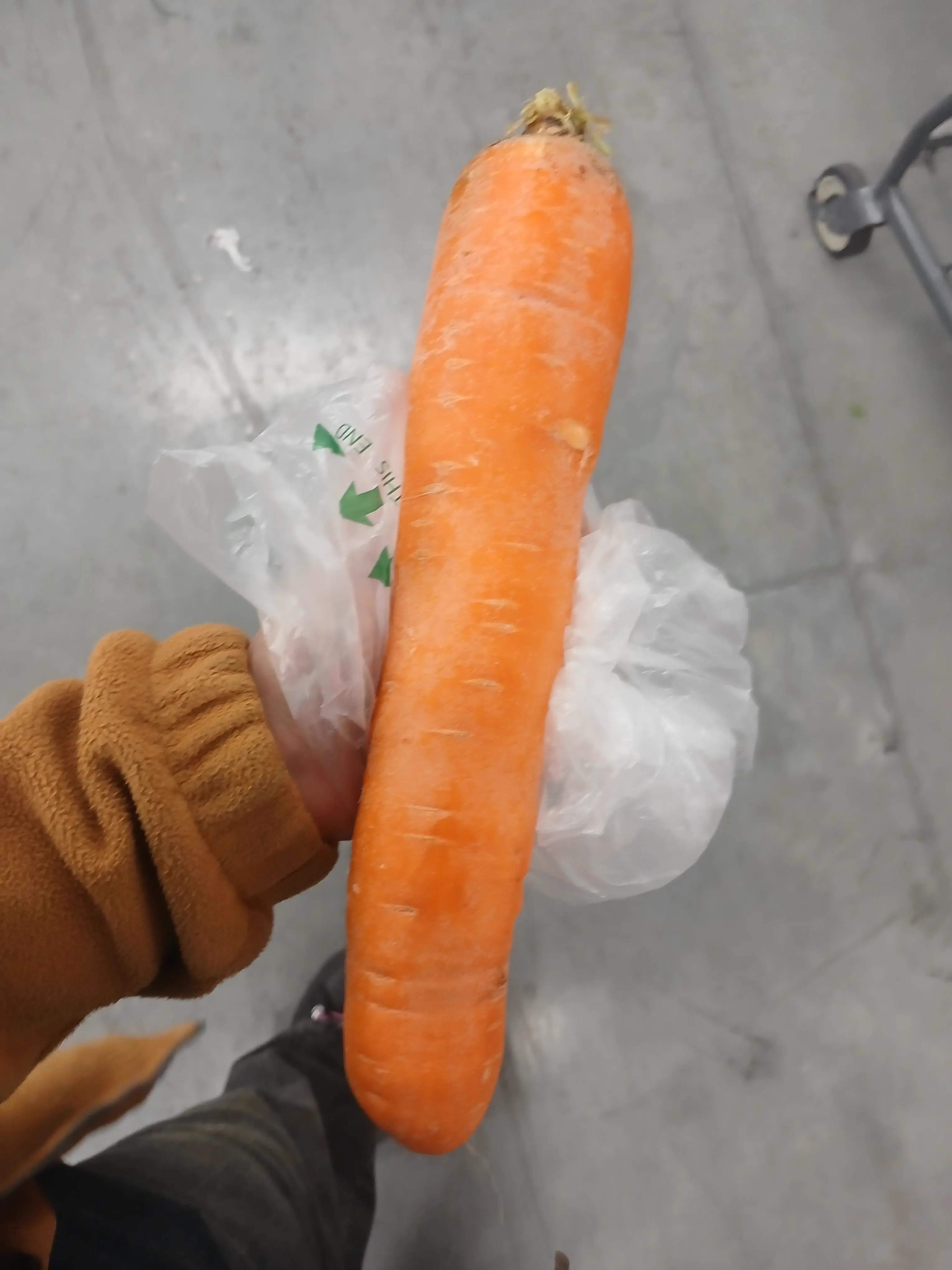 10 Mind-Blowing Absolute Units You Never Knew Existed! 🤯 21 Absolute Units of a Carrot