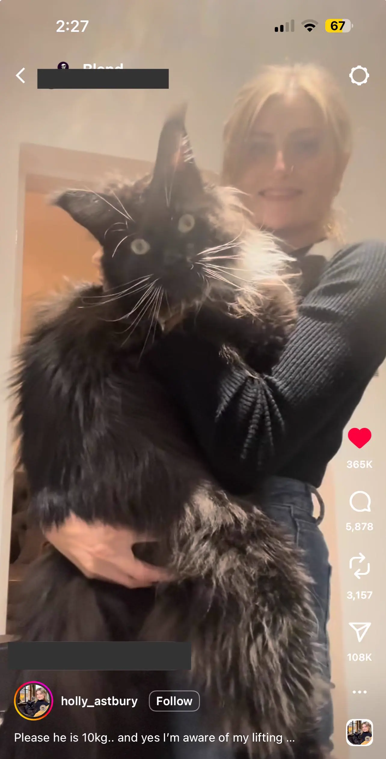 10 Colossal Absolute Units That Will Take Your Breath Away! đ 22 Absolute Units of a cat