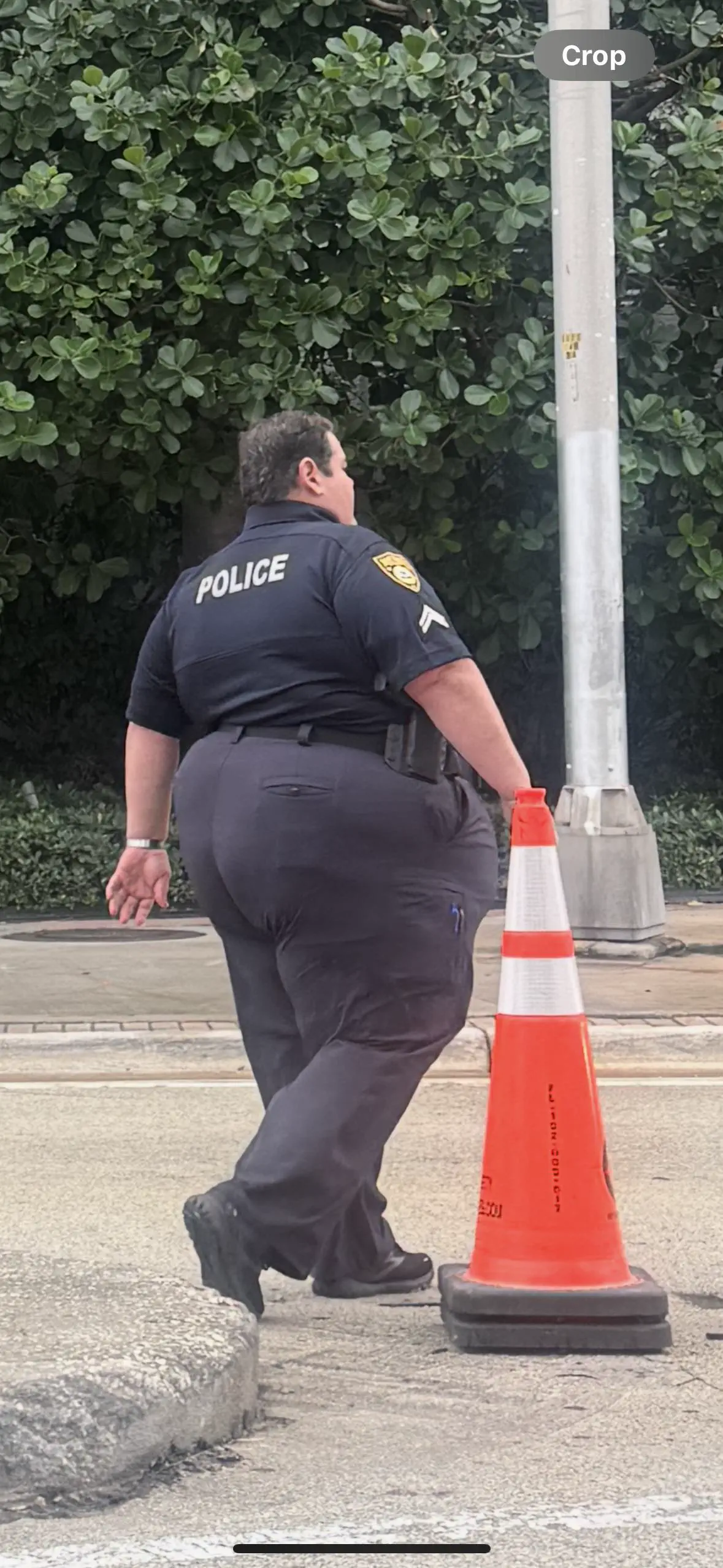 10 Epic Oversized Wonders You Have to Discover! 🐾✨ 20 Absolute Units of a cop.