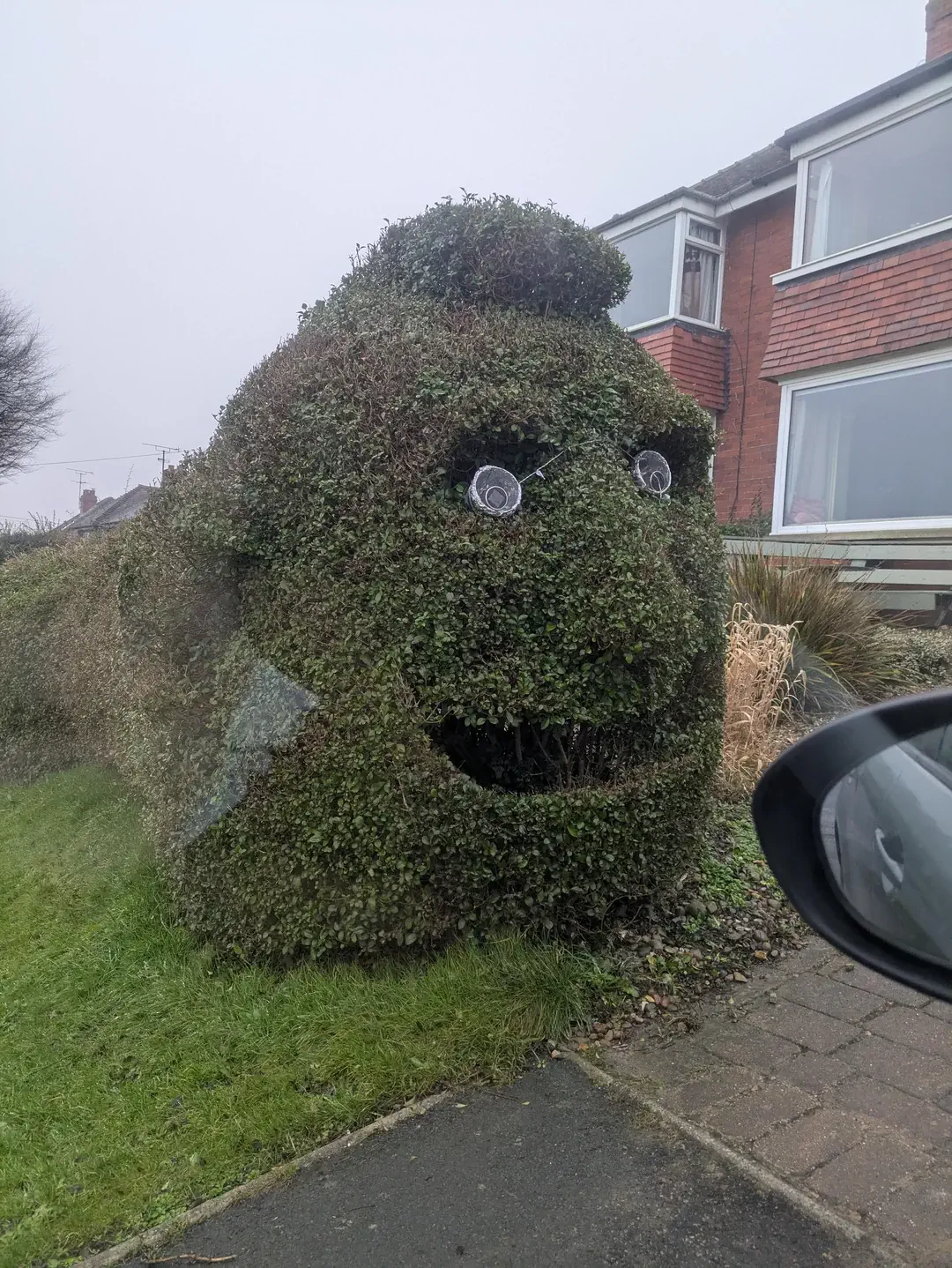 15 Mind-Blowing Oddities That Defy Size Expectations! 🔍🤯 25 Absolute Units of a creepy hedge.