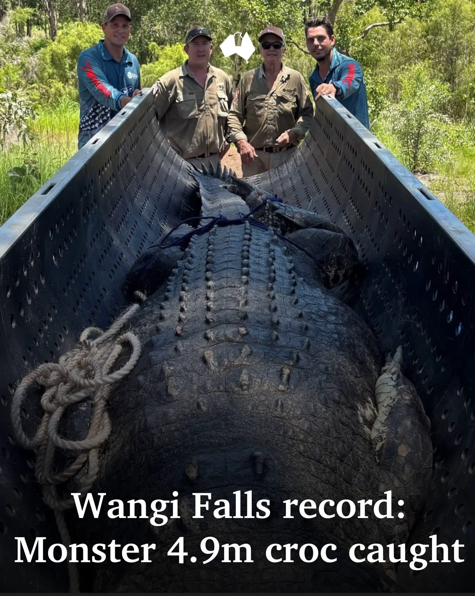 6 Mind-Blowing Oddities That Redefine Size Expectations! 🌟🤯 11 Absolute Units of a crocodile found in Northern Territory, Australia