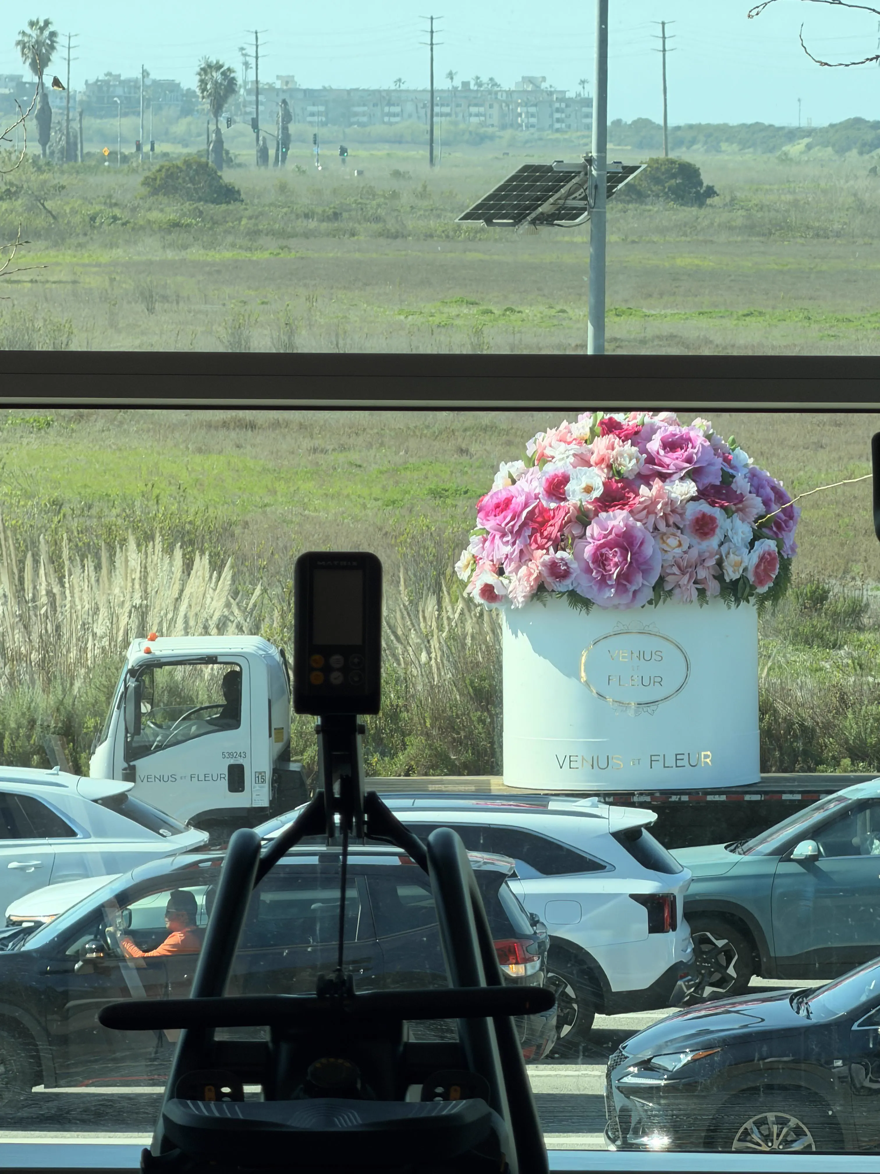 8 Absolute Units That Made Us Question Reality 🫣 13 Incredibly oversized flower bouquet dwarfing everything around it
