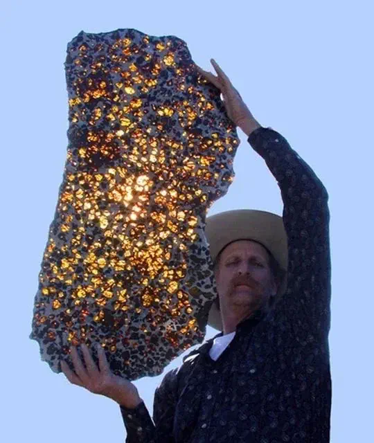 Exploring 10 Unbelievable Absolute Units That Will Amaze You! đ 19 Absolute Units of a Fukang Meteorite