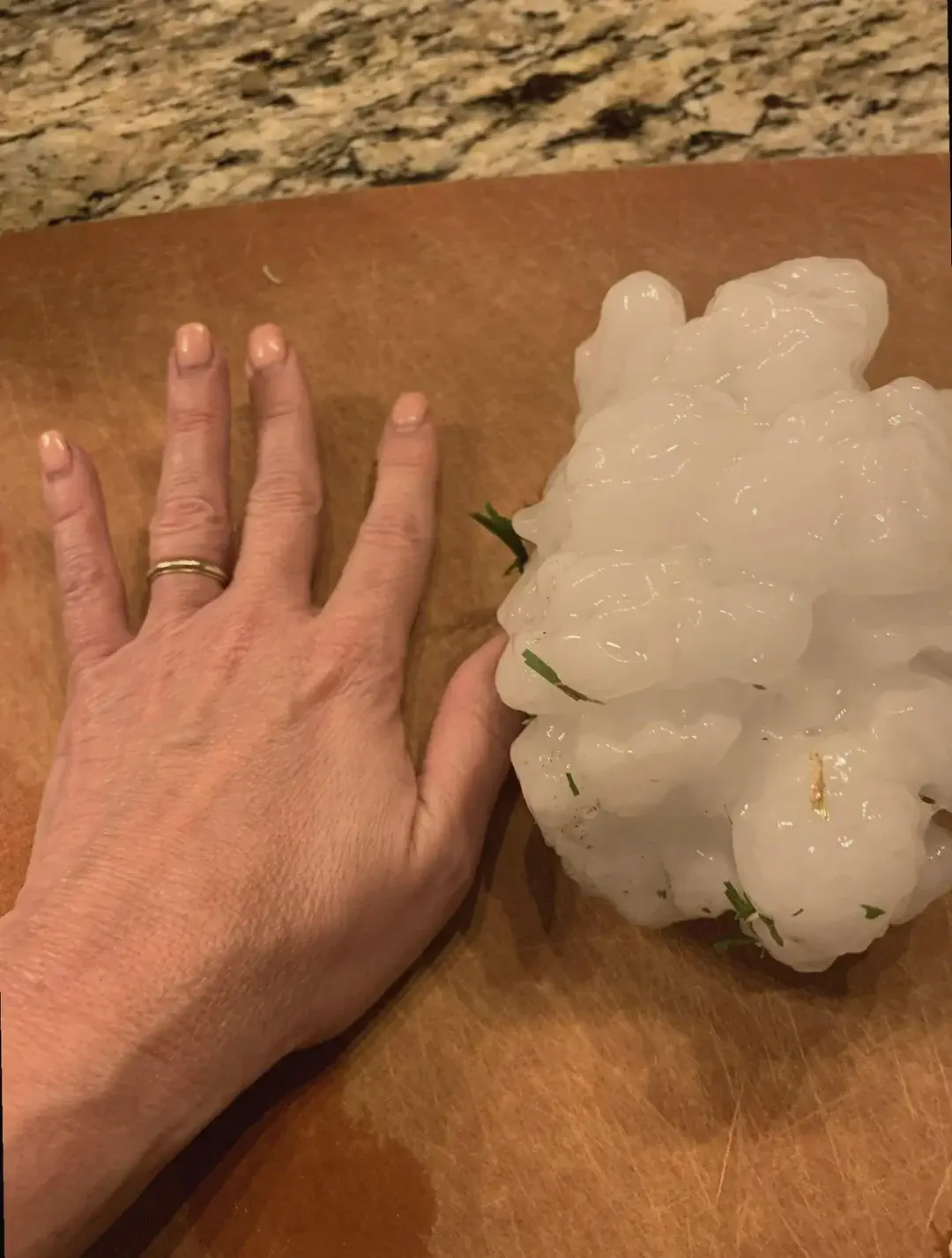 Unveiling 11 Unbelievable Oddities That Defy Size Norms! đđ 18 Absolute Units of a hailstone