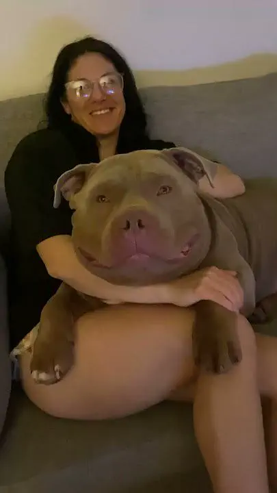 12 Breathtaking Behemoths You Didn't Know Existed! 🌍✨ 18 Absolute Units of a house hippo