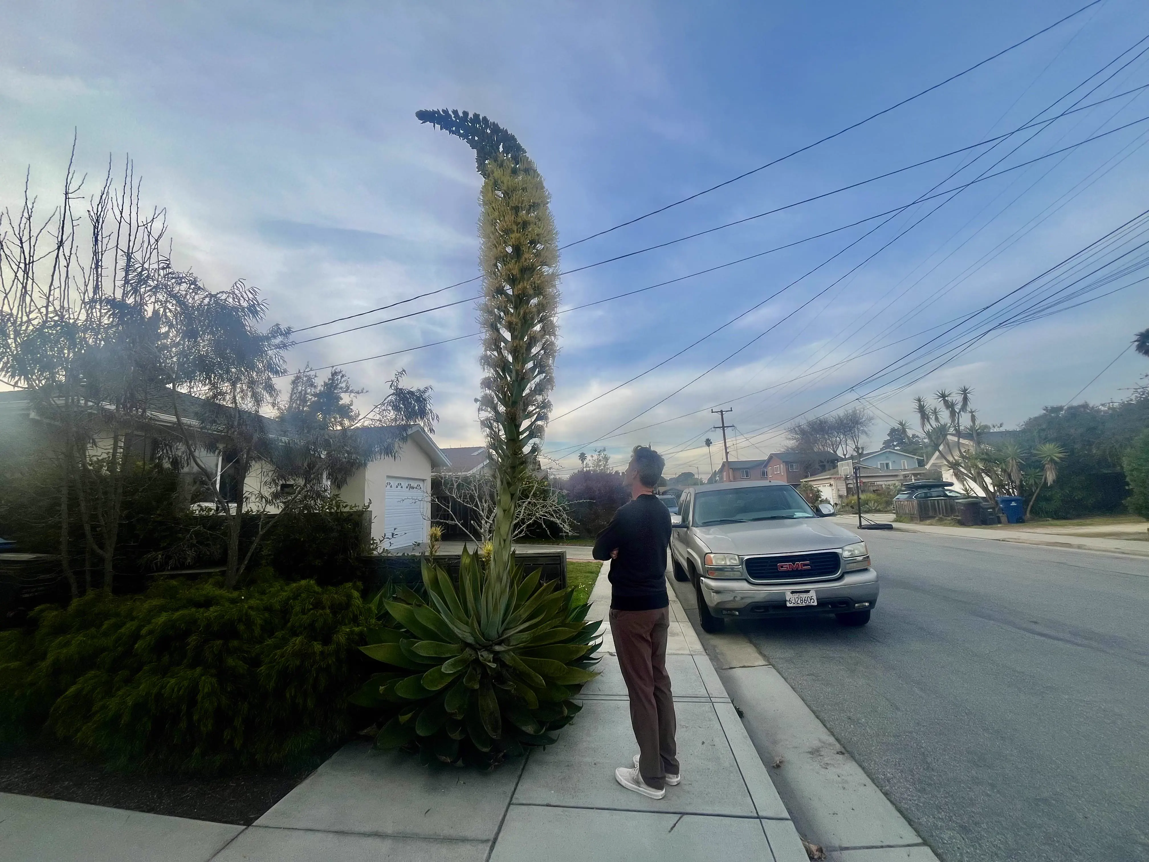 Unveiling 8 Monstrous Oddities That Will Amaze You! 🌍🤯 10 Absolute Units of a plant genitals. Husband for scale.
