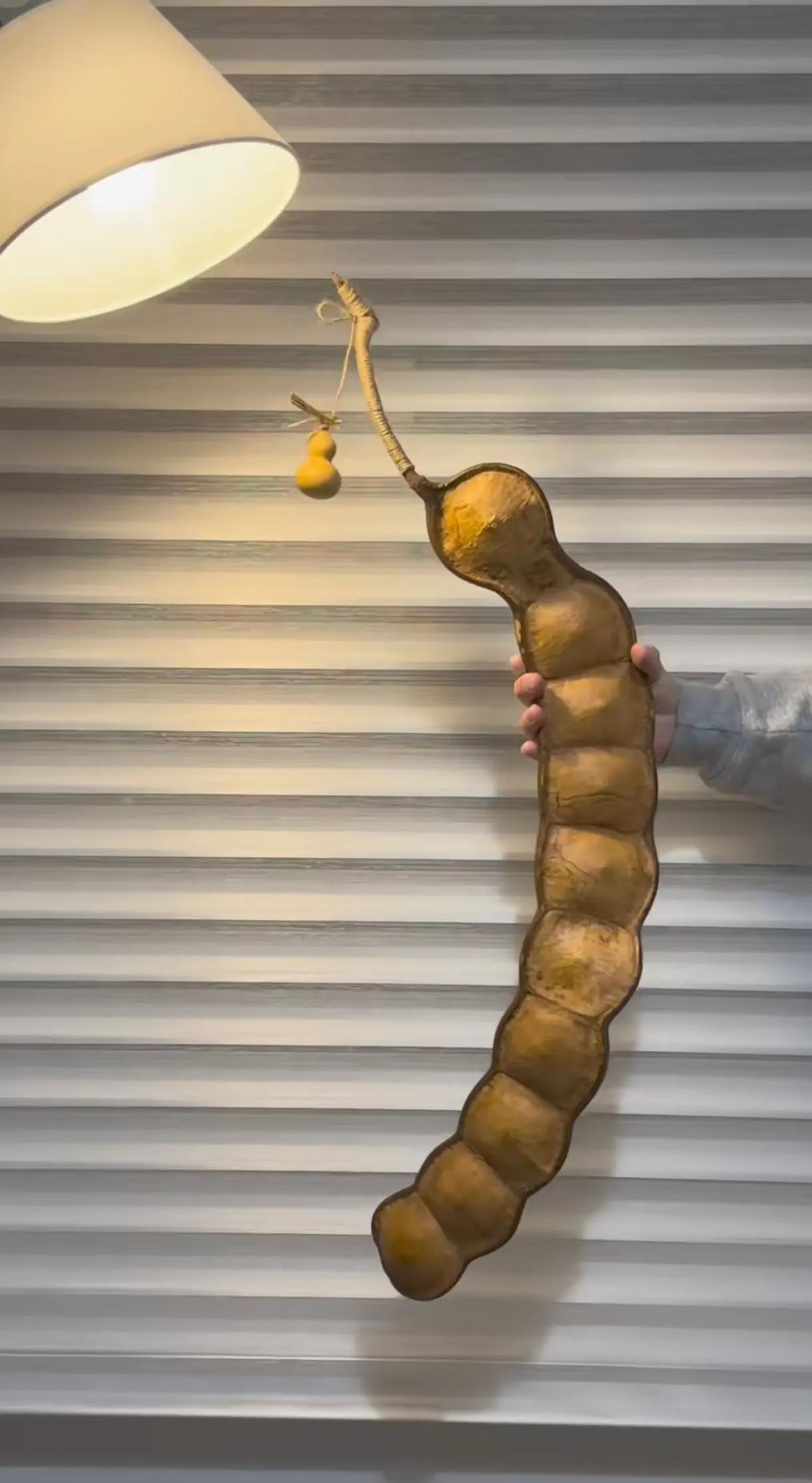 12 Extraordinary Giants That Will Challenge Your Expectations! đ 26 Absolute Units of a pod