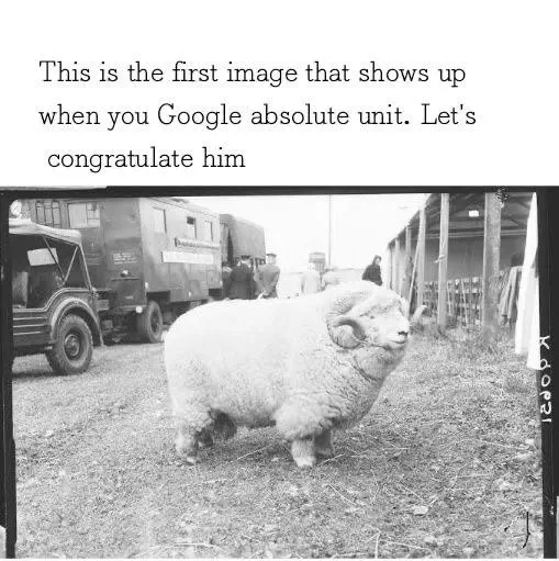 15 Insanely Huge Oddities That Will Leave You Stunned! 🤯 15 absolute units of a ram
