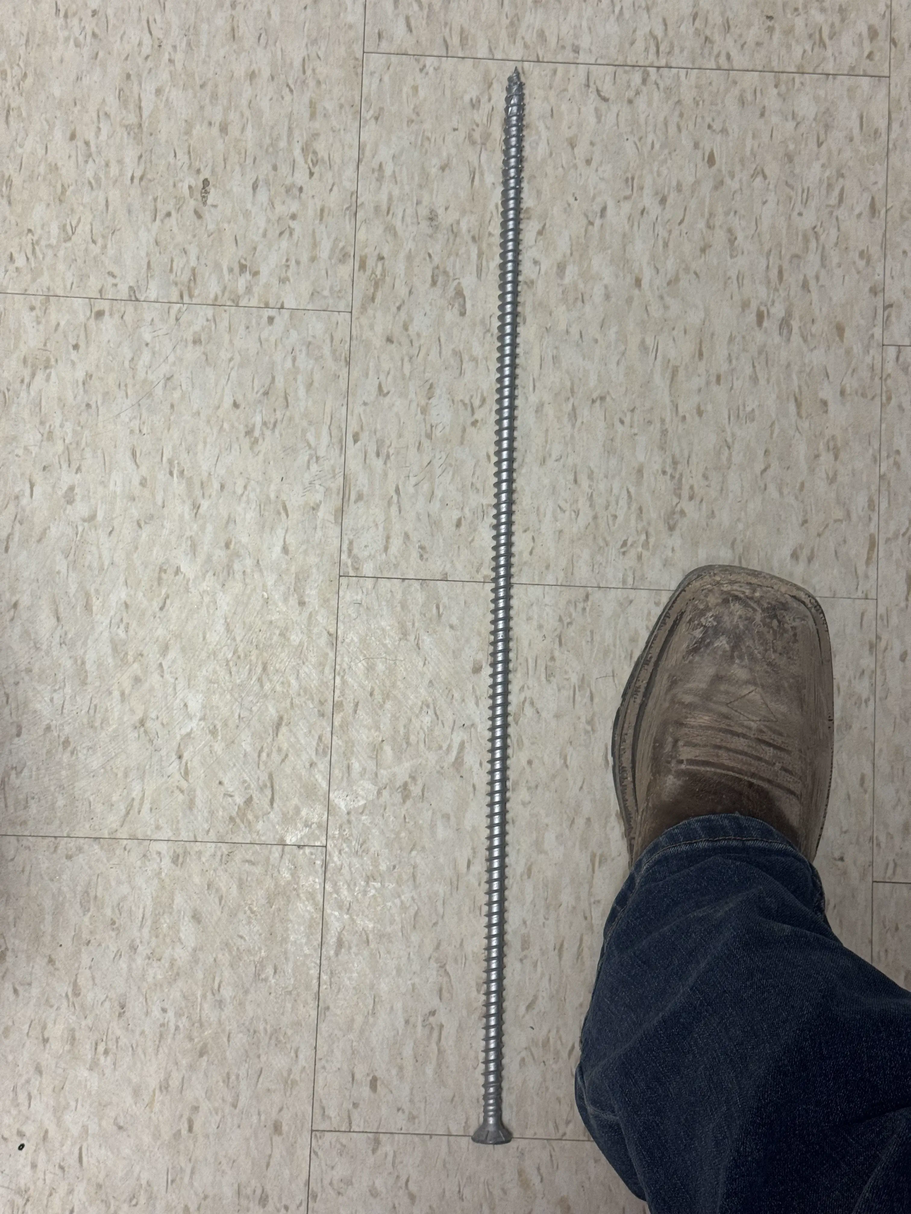 6 Outrageously Large Oddities That Will Test Your Mind! 🤯 10 Absolute Units of a Screw