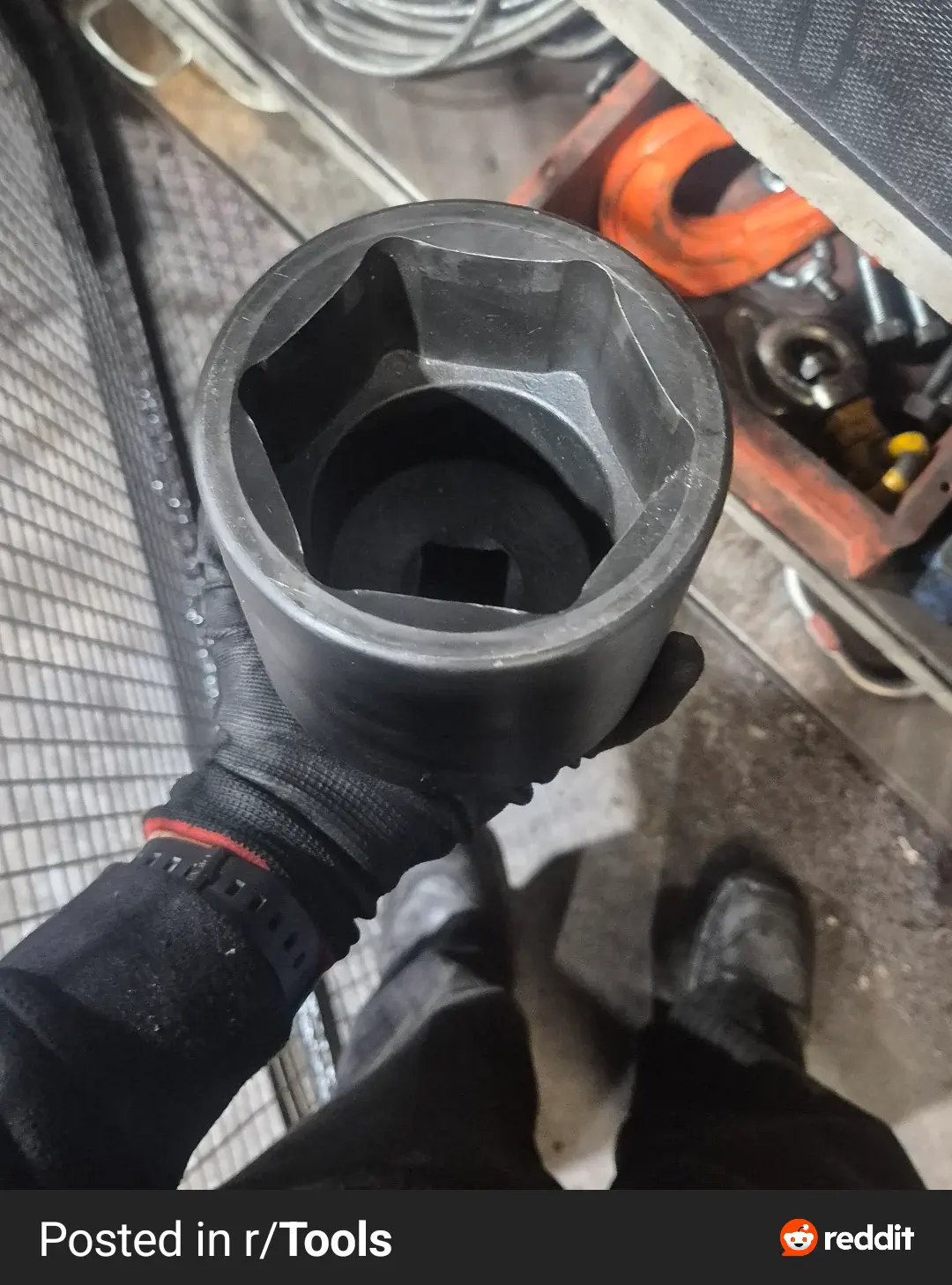 Unveiling 12 Enormous Oddities That Challenge Size Norms! đ 18 Absolute Units of a socket