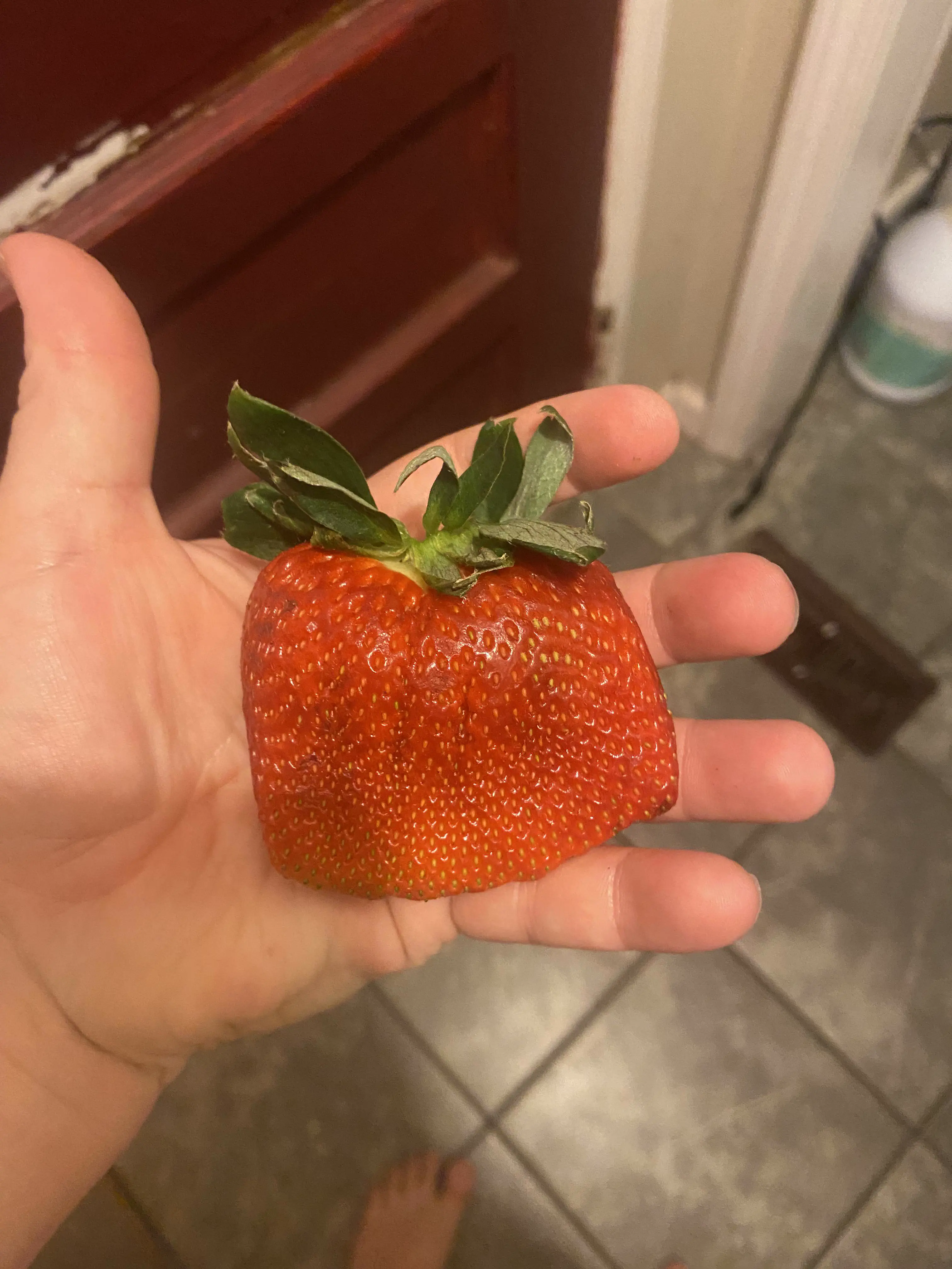 8 Unbelievable Oddities That Redefine What Size Means! 🌍🤯 16 Absolute Units of a strawberry