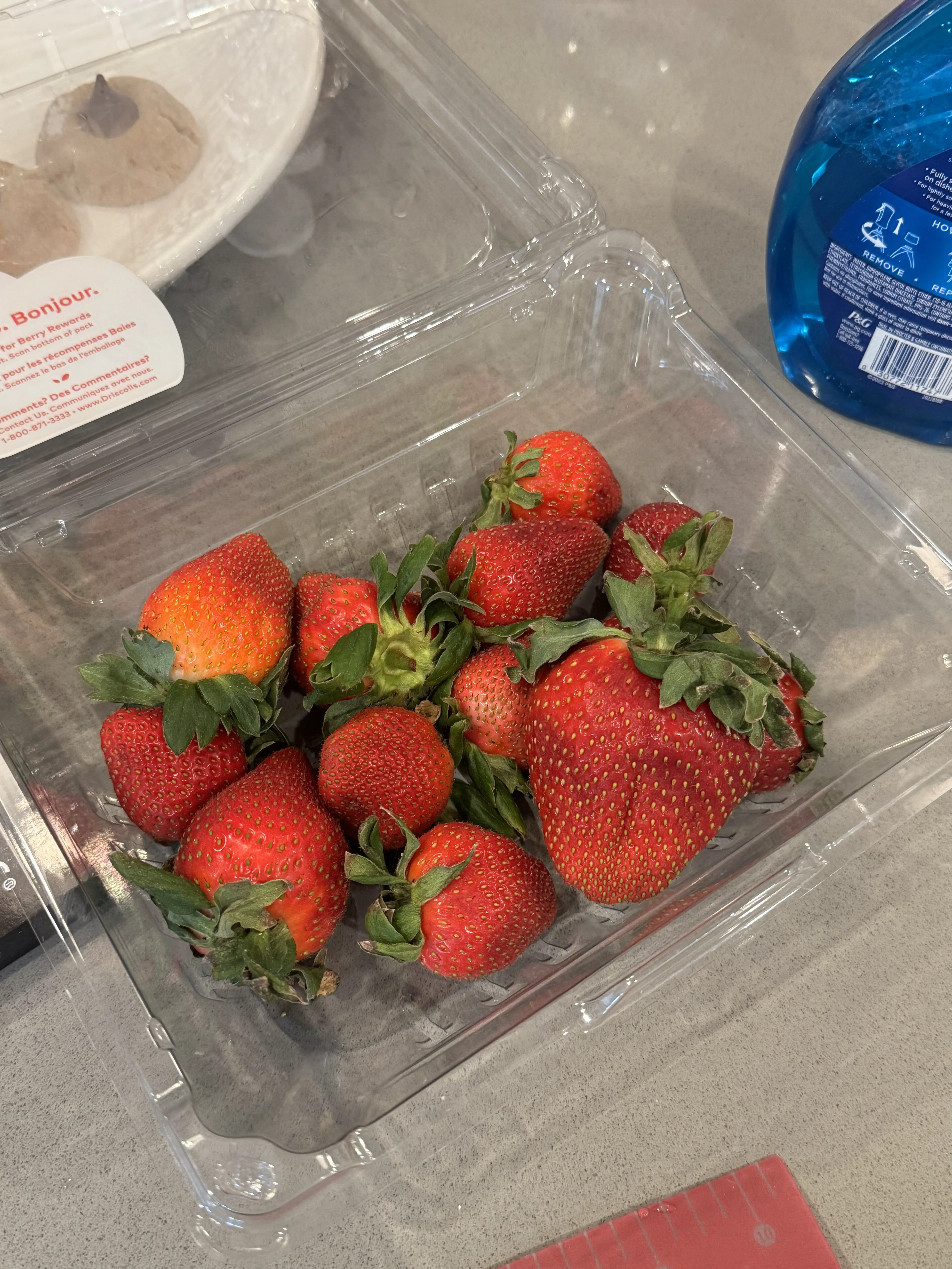 6 Outrageously Large Oddities That Will Test Your Mind! 🤯 13 Absolute Units of a strawberry in this pack