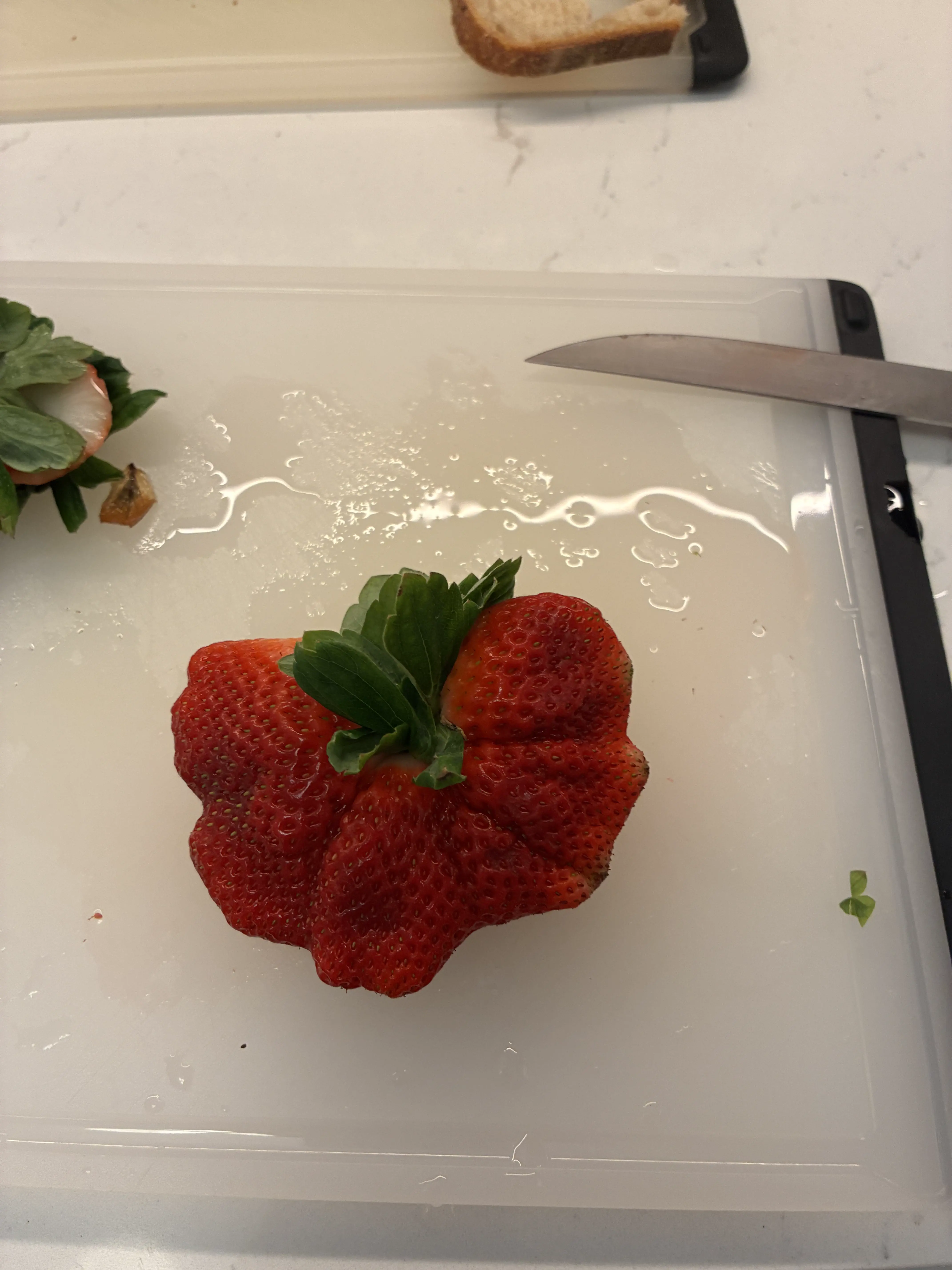 9 Mind-Blowing Huge Oddities You Have to Check Out! đ€Żđ 20 Absolute Units of a strawberry