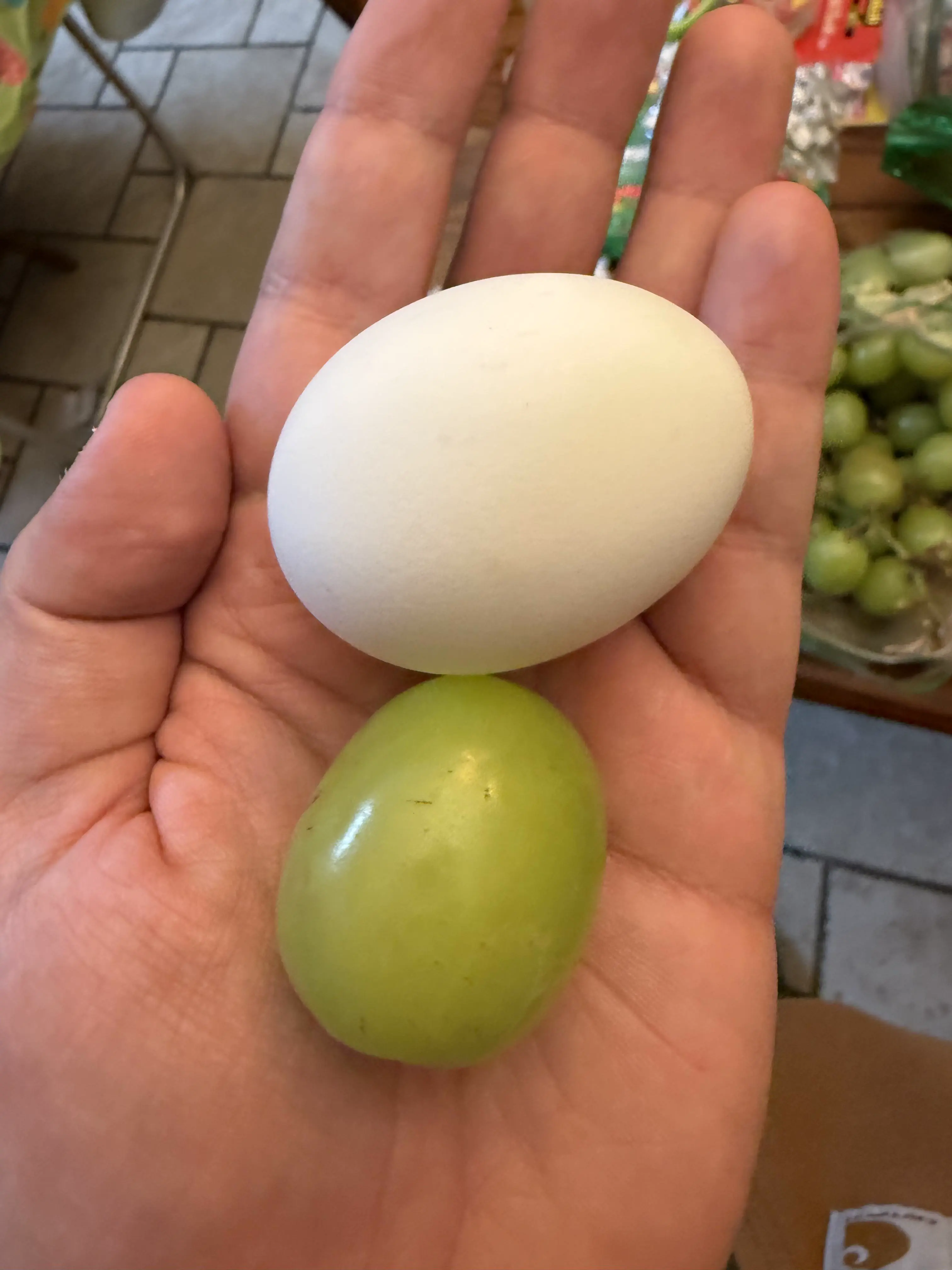 9 Mind-Blowing Huge Oddities You Have to Check Out! đ€Żđ 16 Absolute Units of a Thick Ass Grape