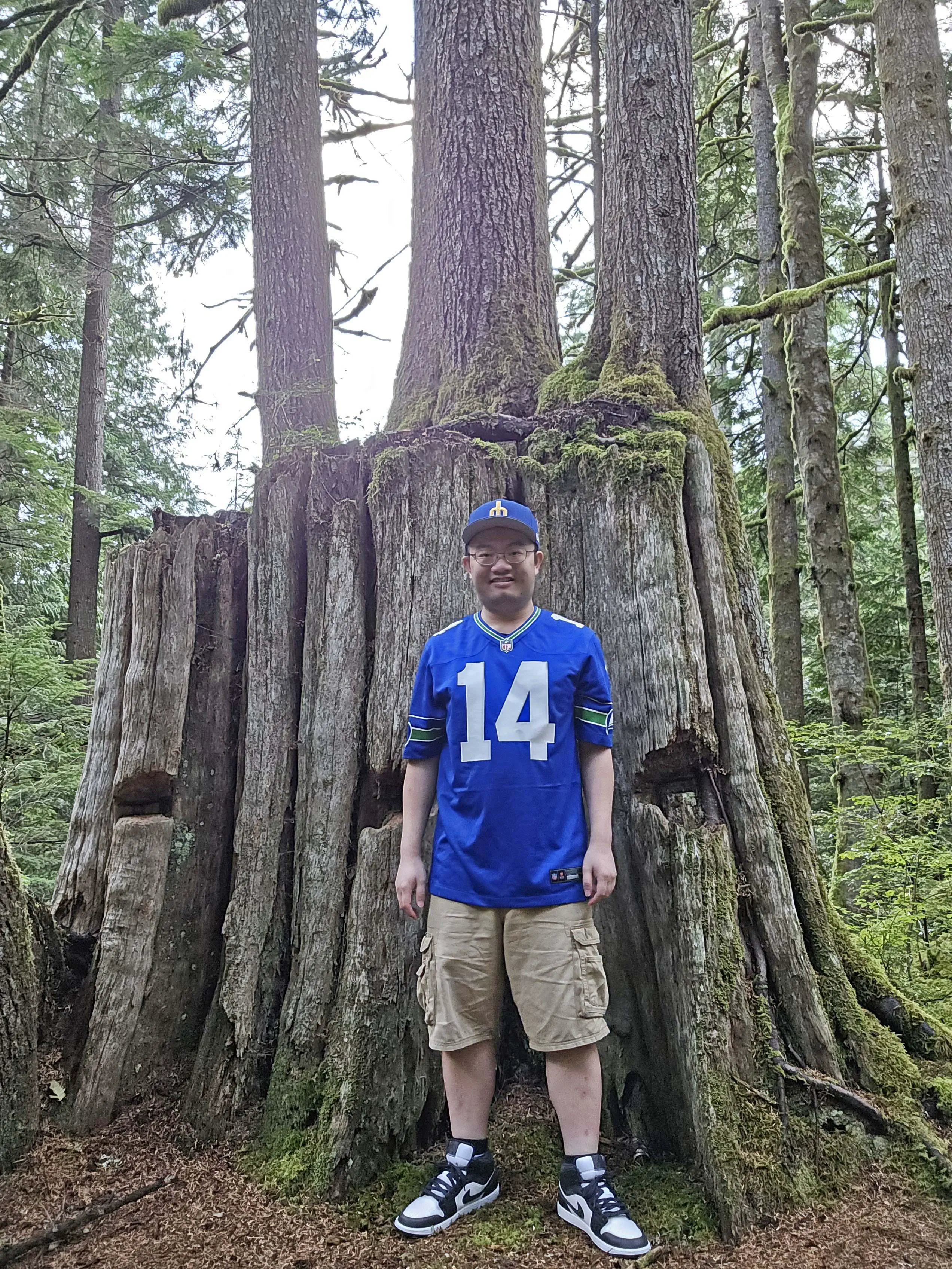 12 Extraordinary Giants That Will Challenge Your Expectations! đ 25 Absolute Units of a tree stump
