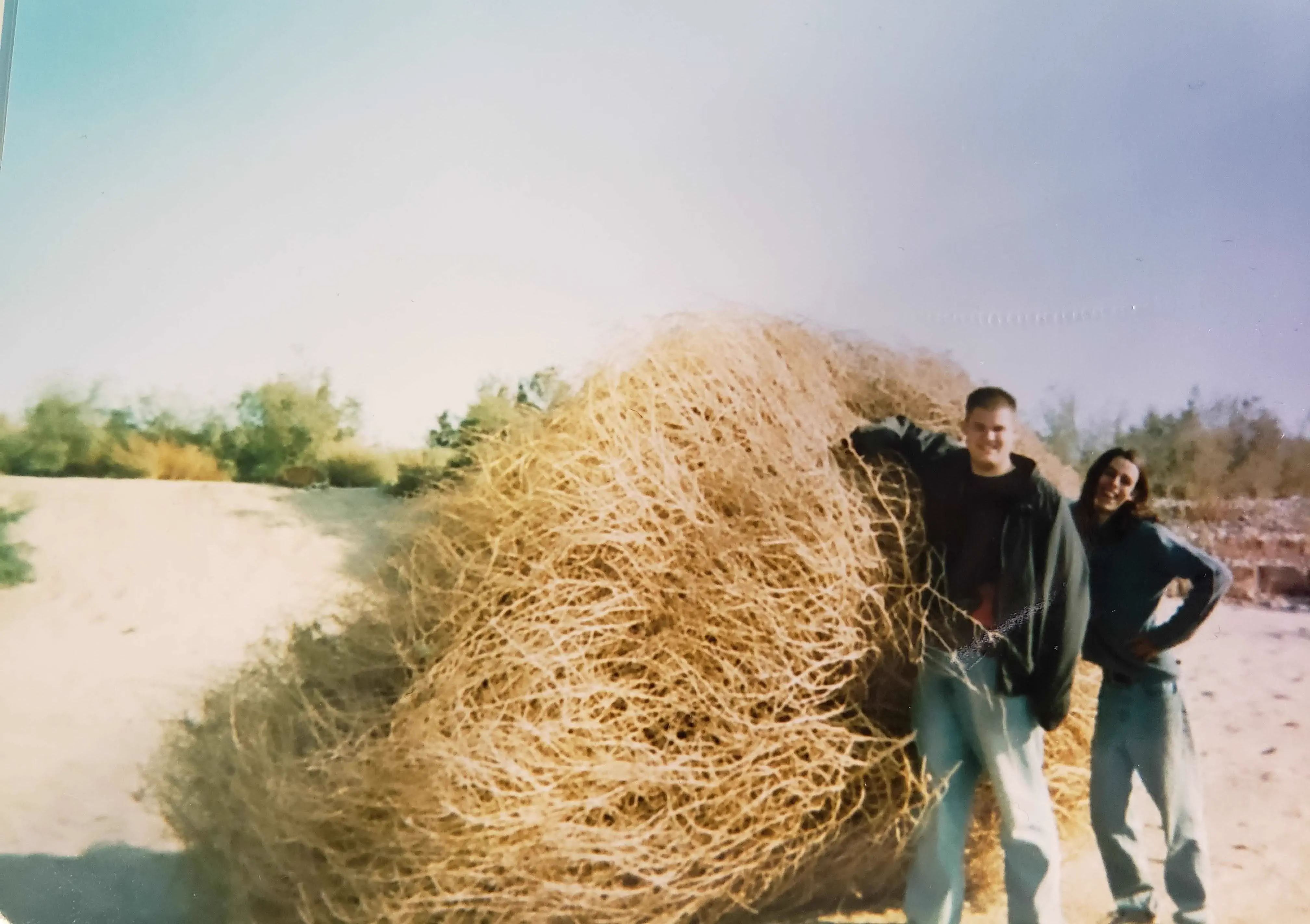10 Remarkable Absolute Units Redefining Our Perception of Size! 🤯🐾 18 Absolute Units of a tumbleweed!