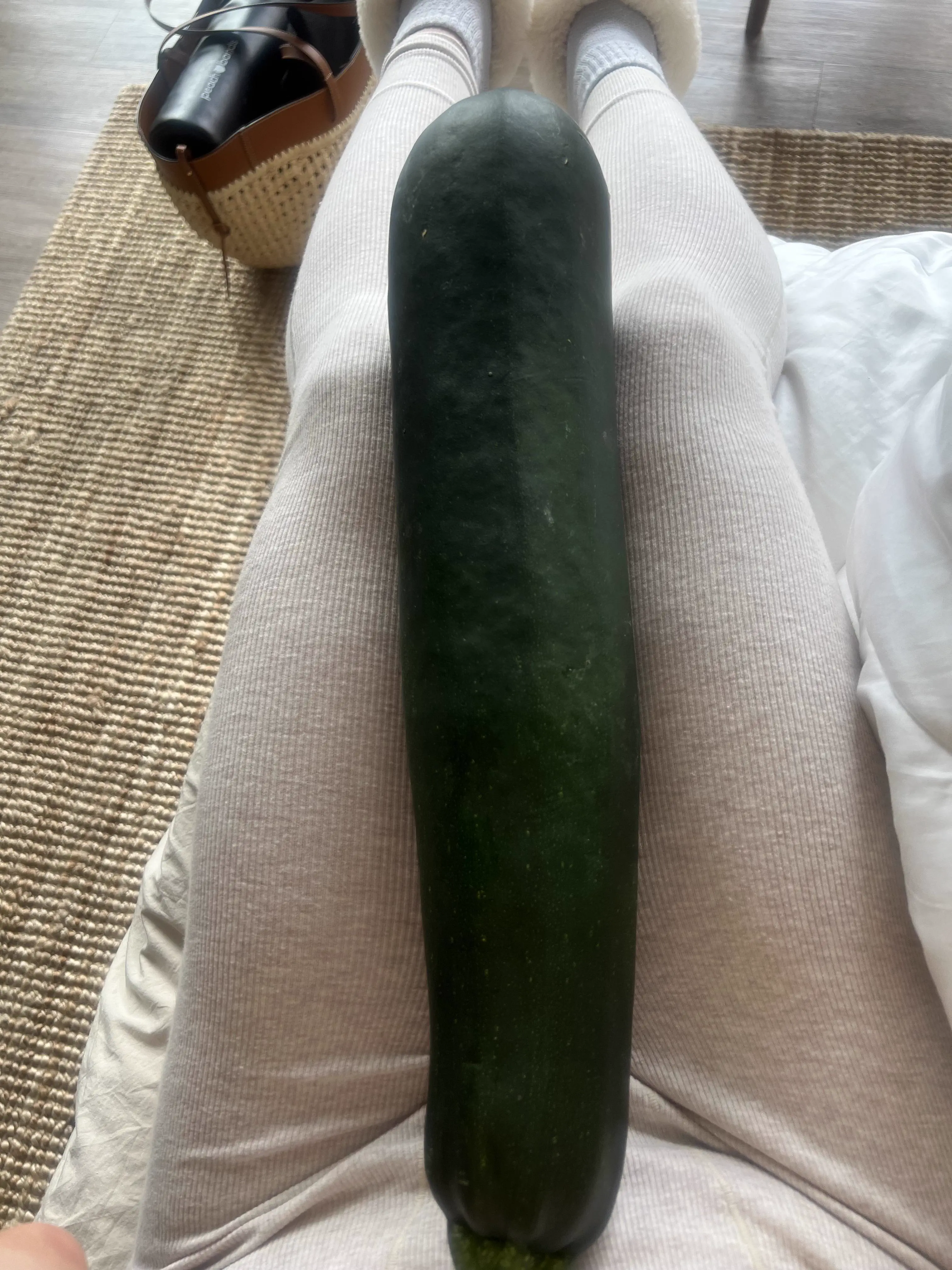 15 Mind-Blowing Oddities That Defy Size Expectations! 🔍🤯 28 Absolute Units of a zucchini